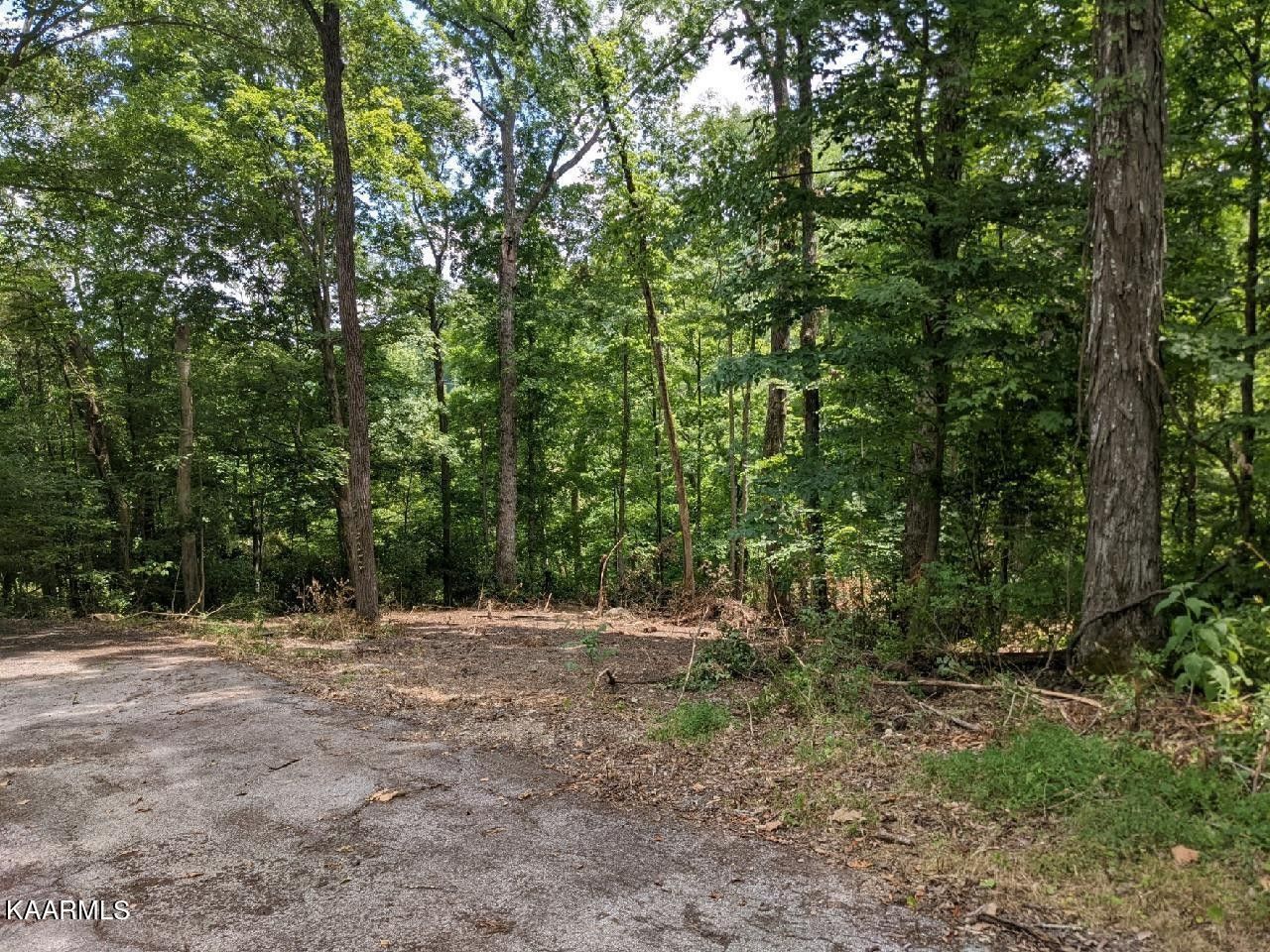 Clinton, Anderson County, TN Undeveloped Land, Homesites for sale
