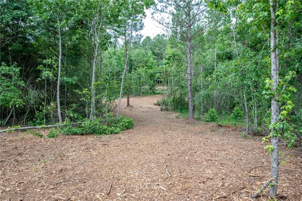 Adairsville, Bartow County, GA Undeveloped Land for sale Property ID