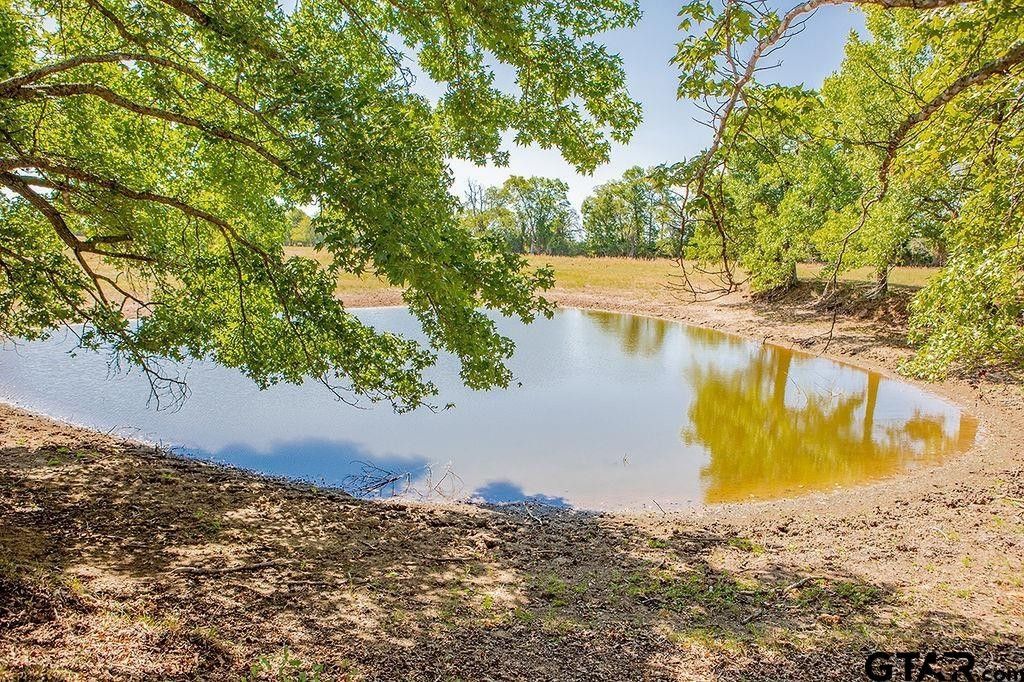 Quitman, Wood County, TX Farms and Ranches, House for sale Property ID