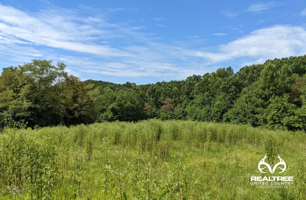Vinton, Gallia County, OH Recreational Property, Hunting Property for