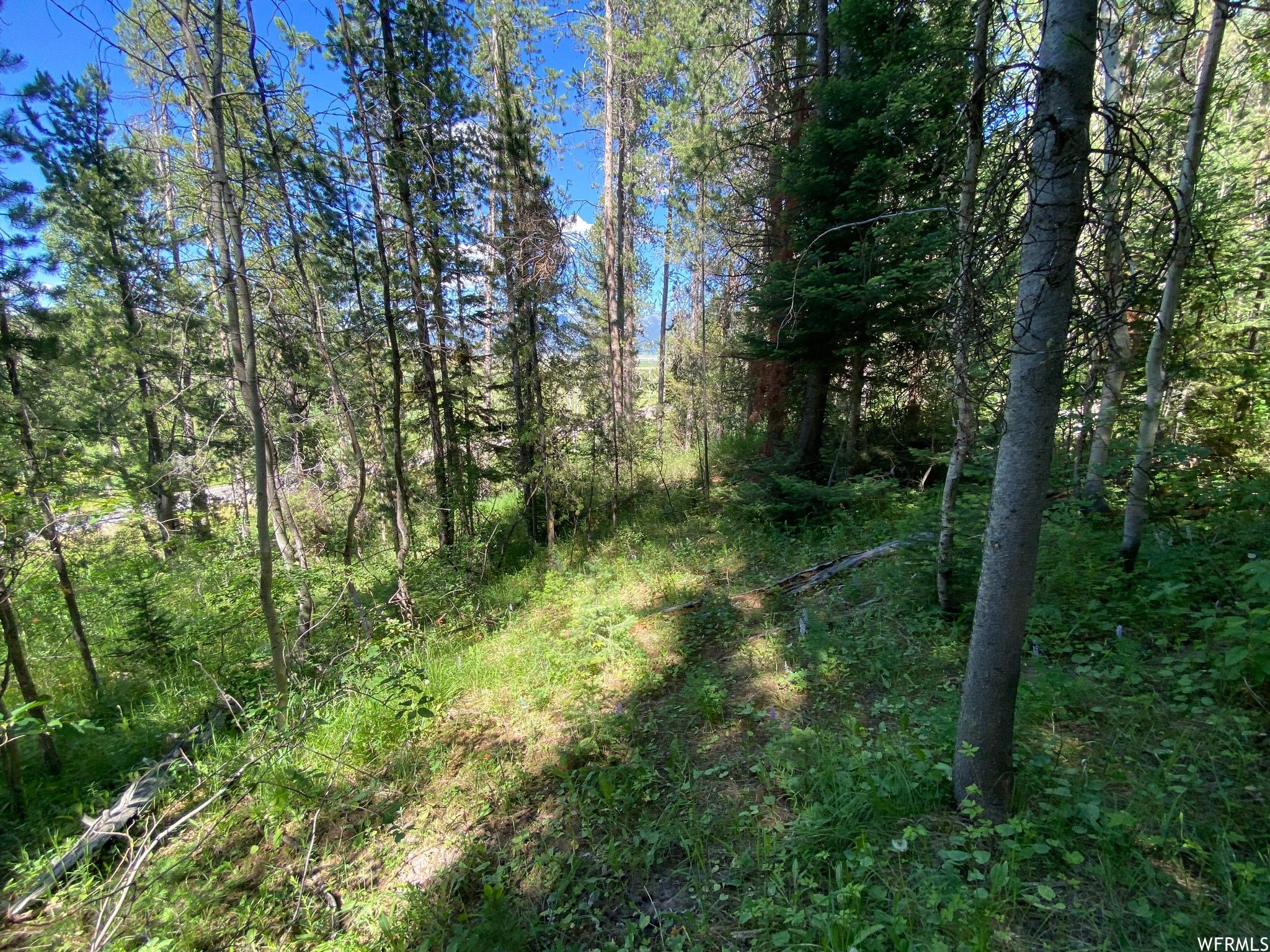 200 HIGHWAY 34, Freedom, WY 83120 MLS 1832706 LandWatch