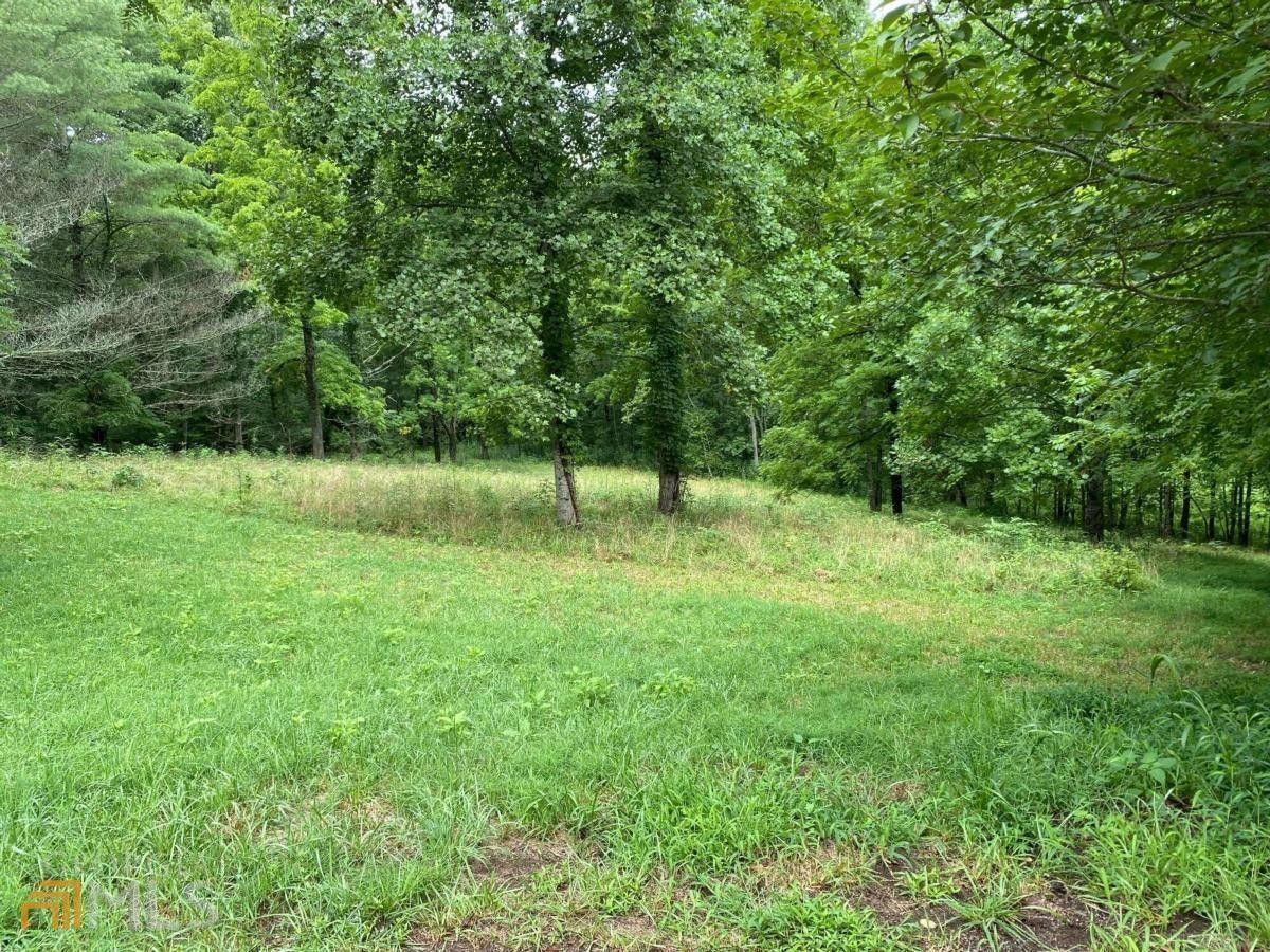 Blairsville, Union County, GA Undeveloped Land, Homesites for sale