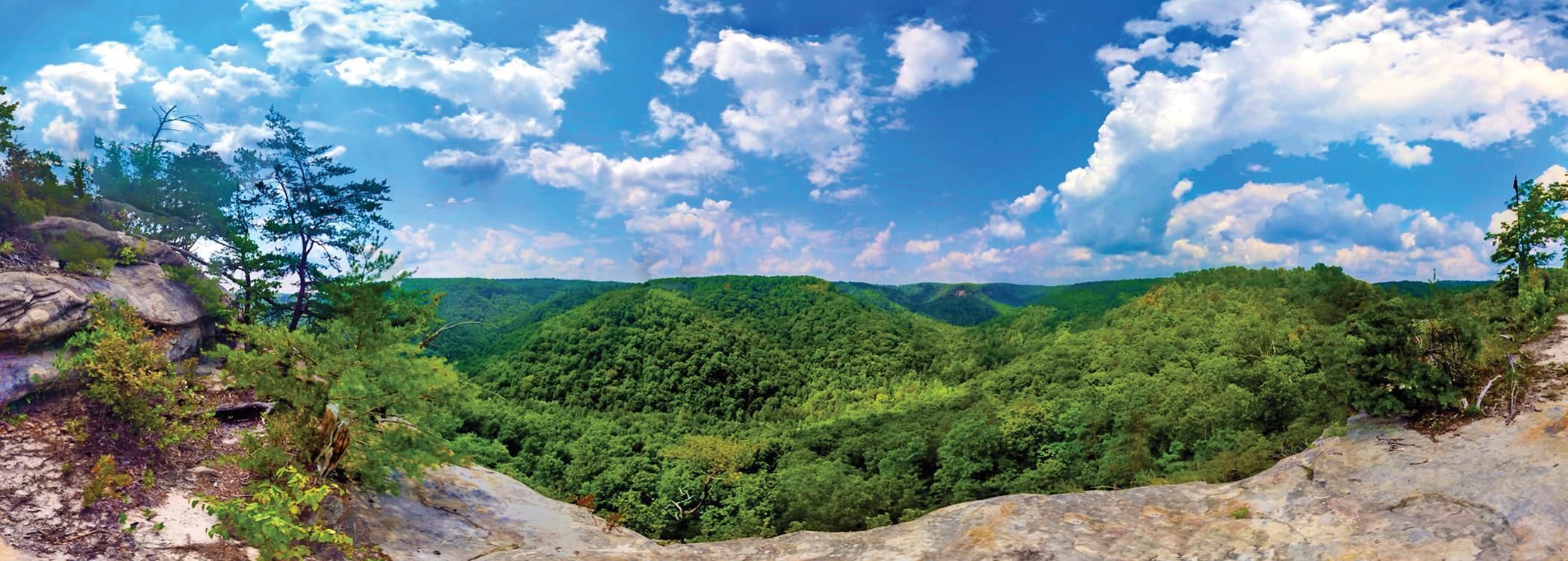 Pickett Park Highway, LotWP01, Allardt, TN 38504 LandWatch