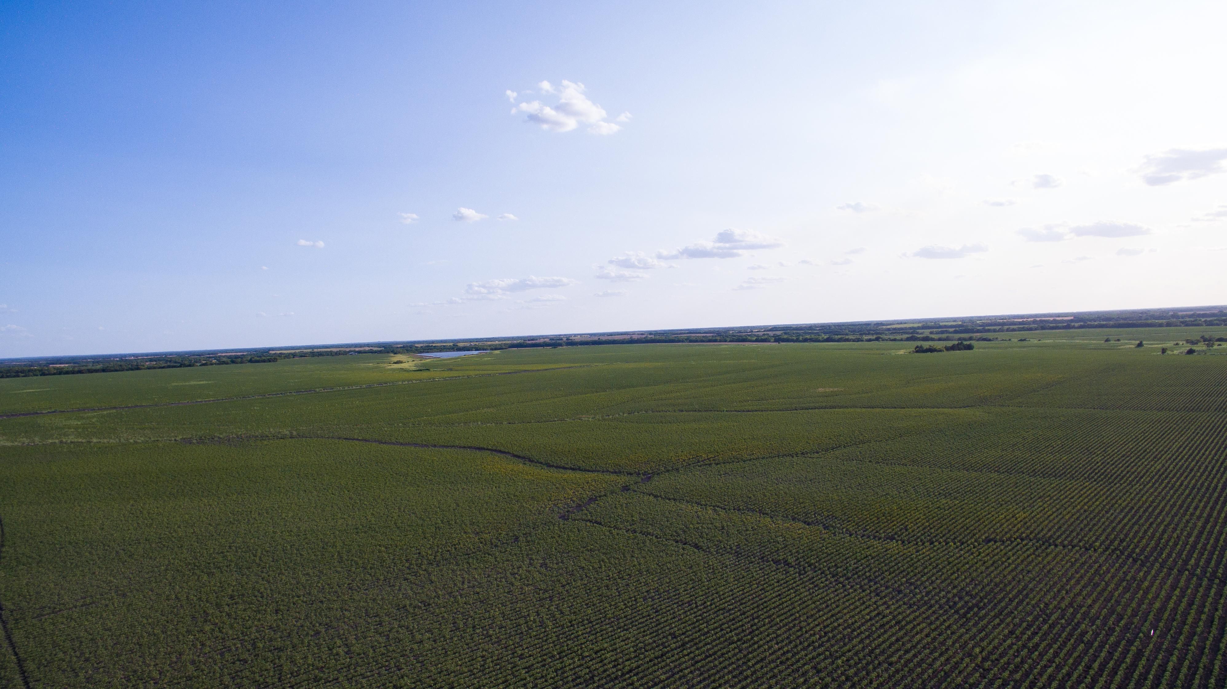 7,064 acres in Cooper, TX, 75432 LandWatch