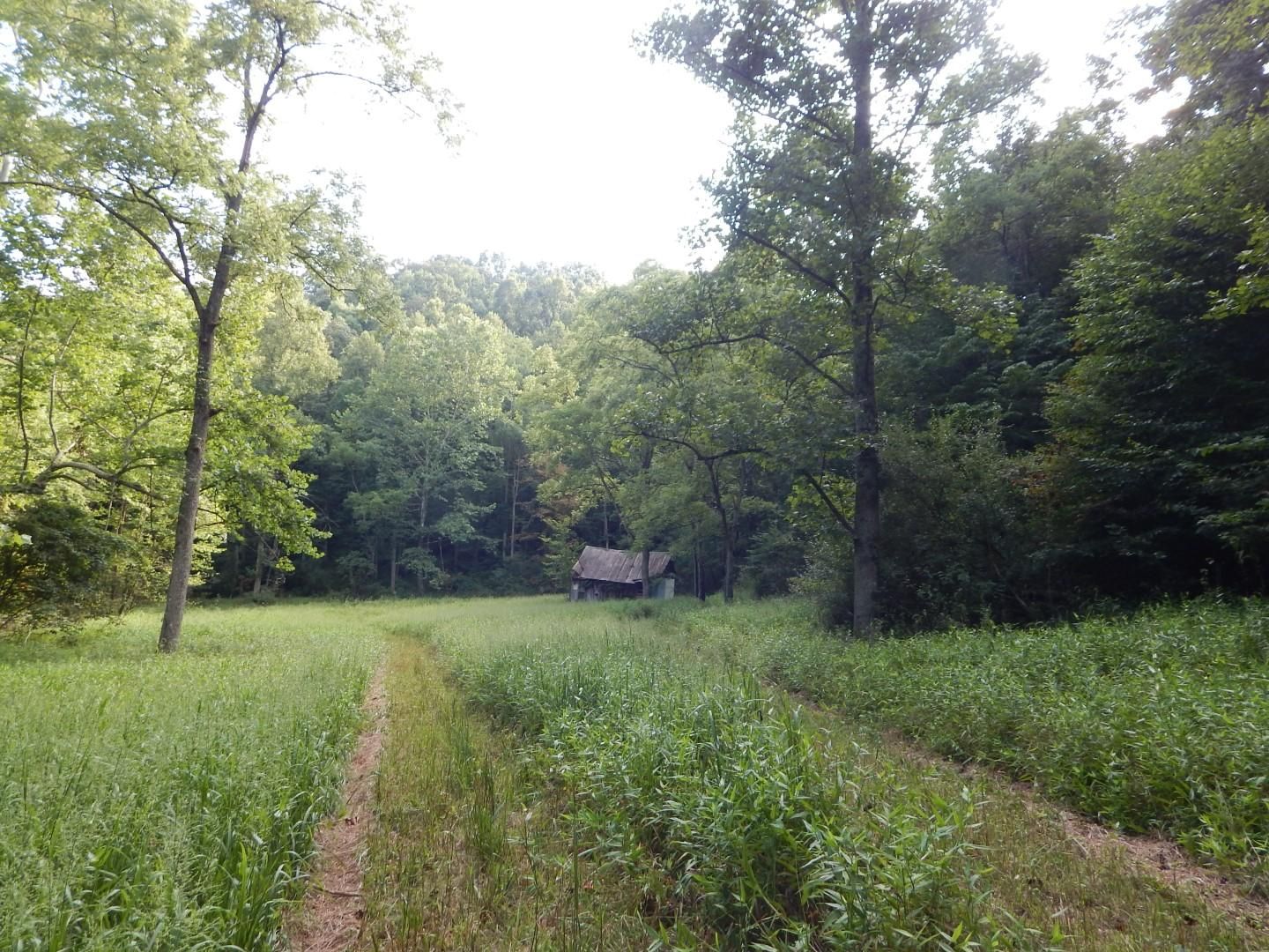 Cairo, Ritchie County, WV Recreational Property, Undeveloped Land, Hunting Property for sale