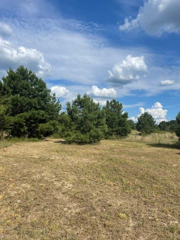 Rentz, Laurens County, GA Recreational Property, Hunting Property for