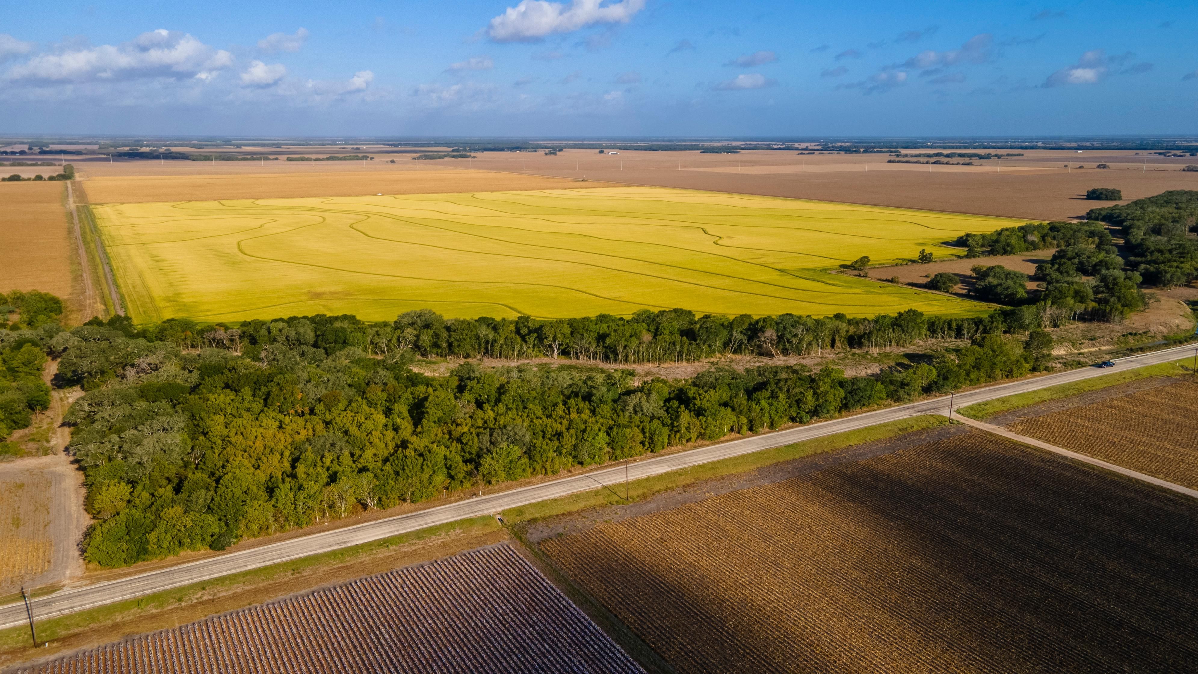 Louise, Wharton County, TX Farms and Ranches, Hunting Property for sale