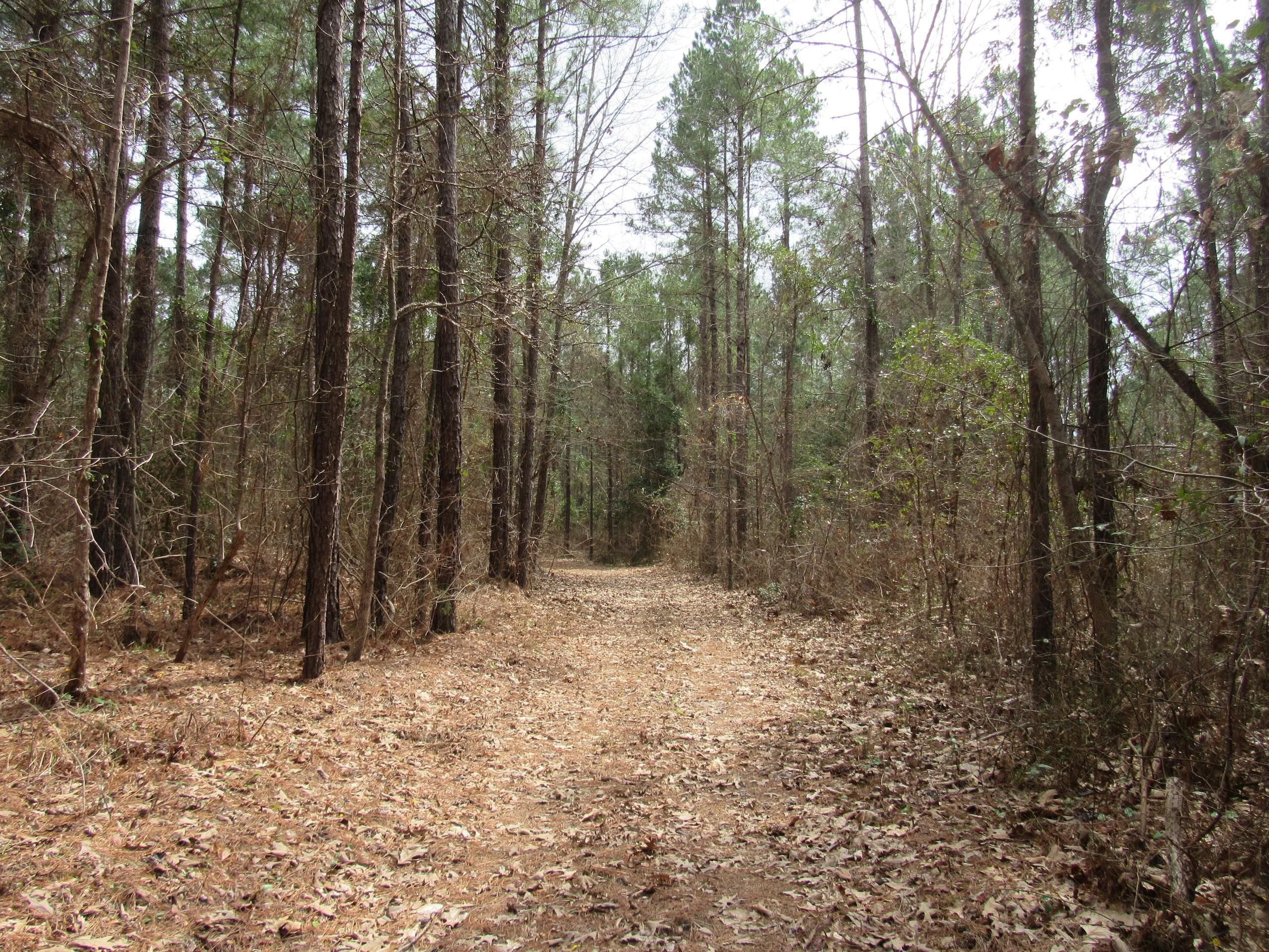 Carthage, Dallas County, AR Recreational Property, Hunting Property for