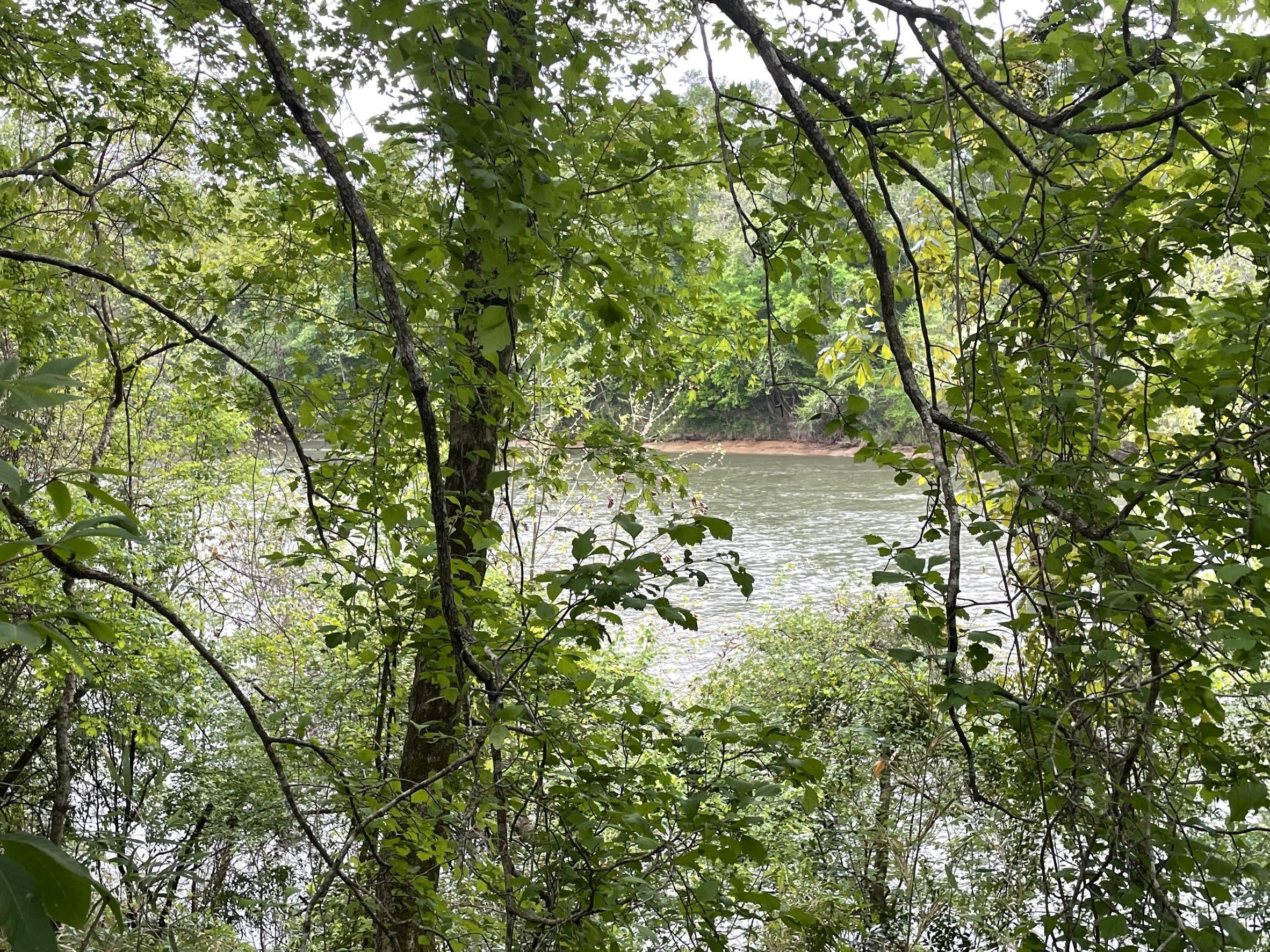 Blakely, Early County, GA Recreational Property, Timberland Property