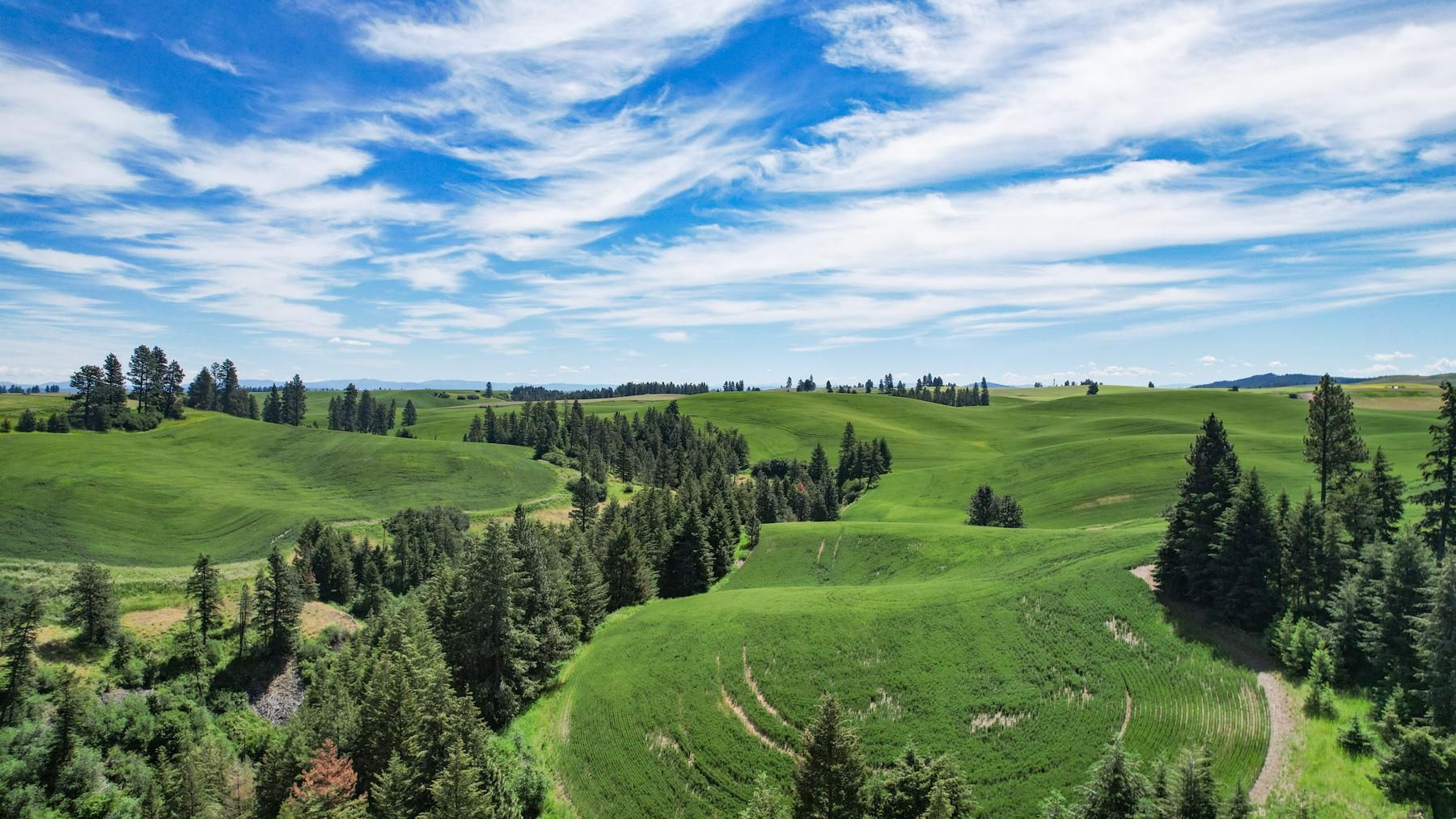 Orofino, Clearwater County, ID Farms and Ranches for sale Property ID