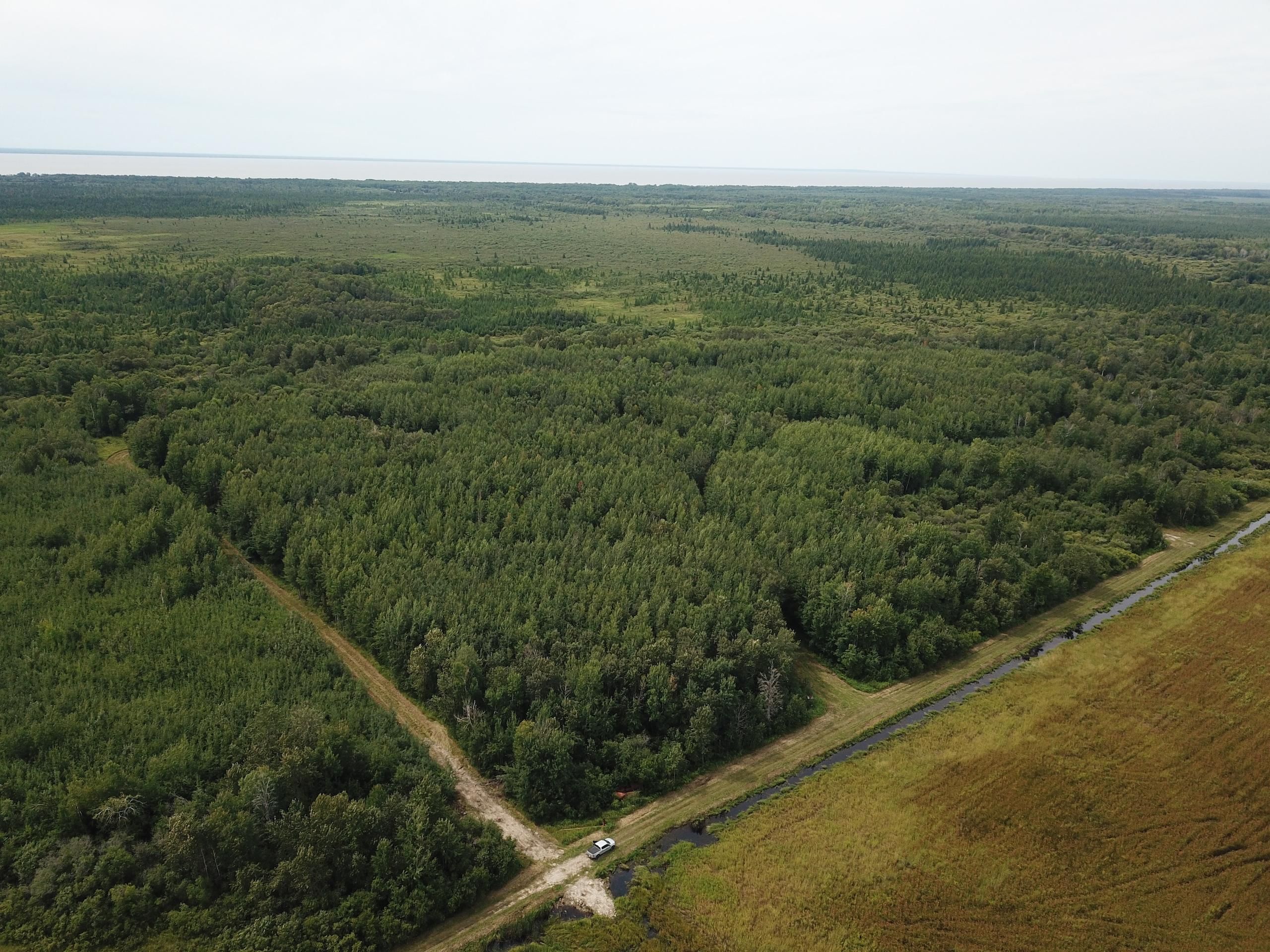 Waskish, Beltrami County, MN Recreational Property, Timberland Property, Hunting Property for