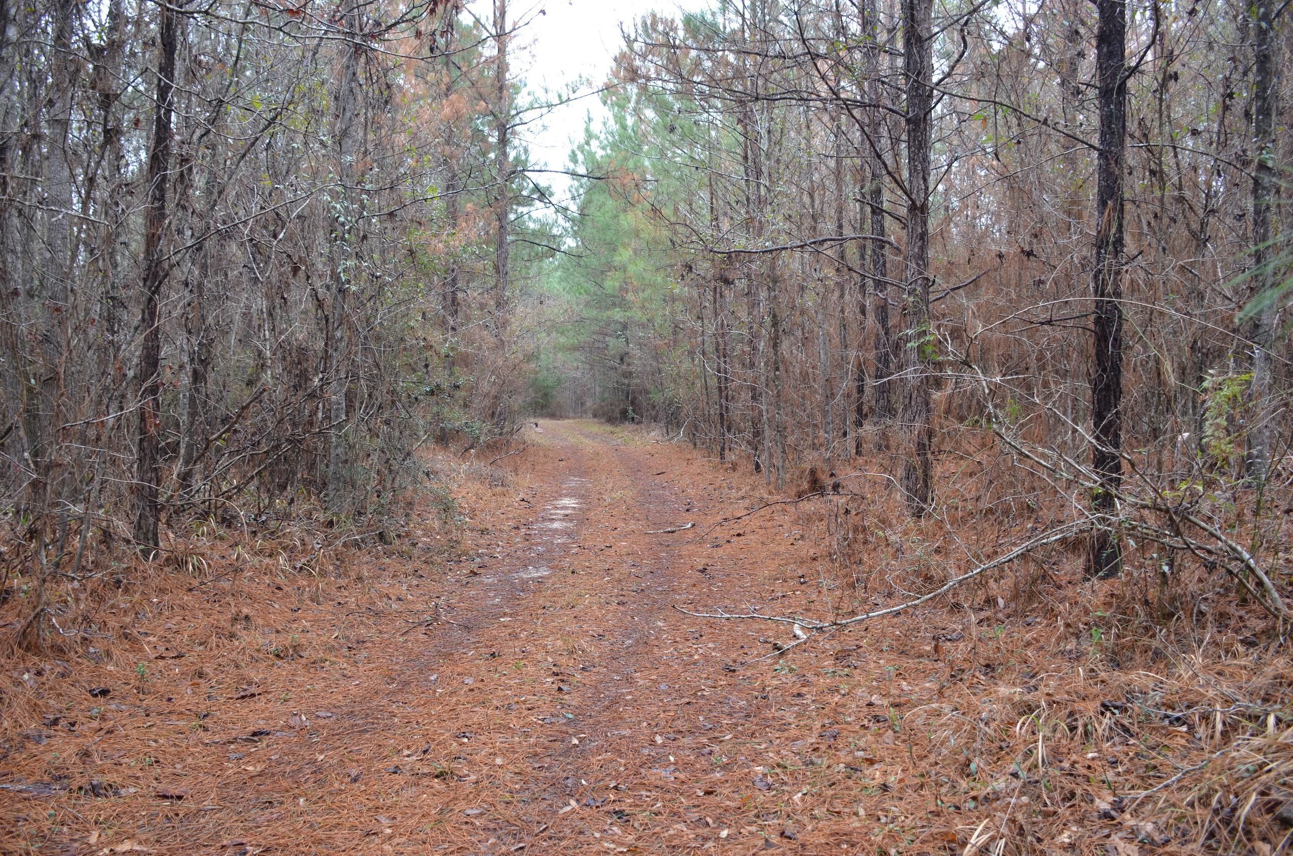 Bill Loftin Road, LotWP02, McCall Creek, MS 39647 LandWatch