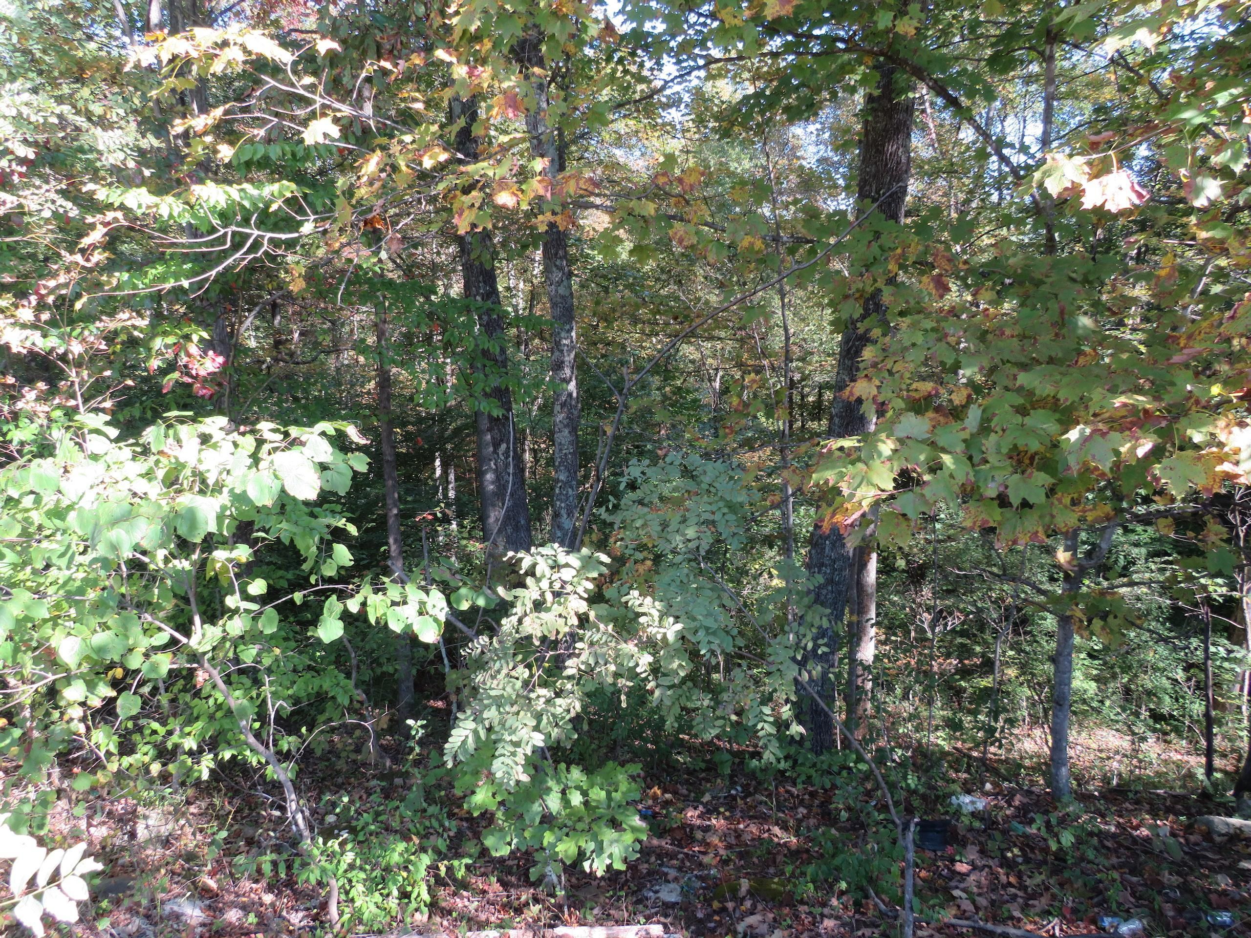 Little Blue Creek Road, Lot WP002, Clendenin, WV 25045 LandWatch