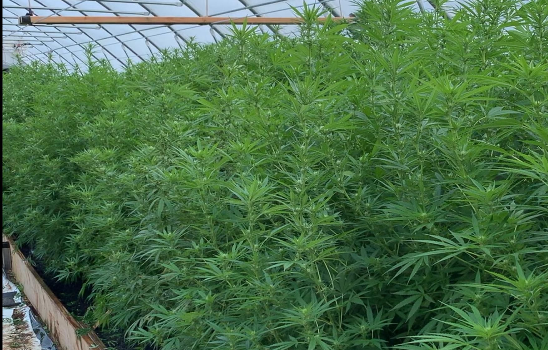 Shattuck, Ellis County, OK Farms and Ranches for sale Property ID