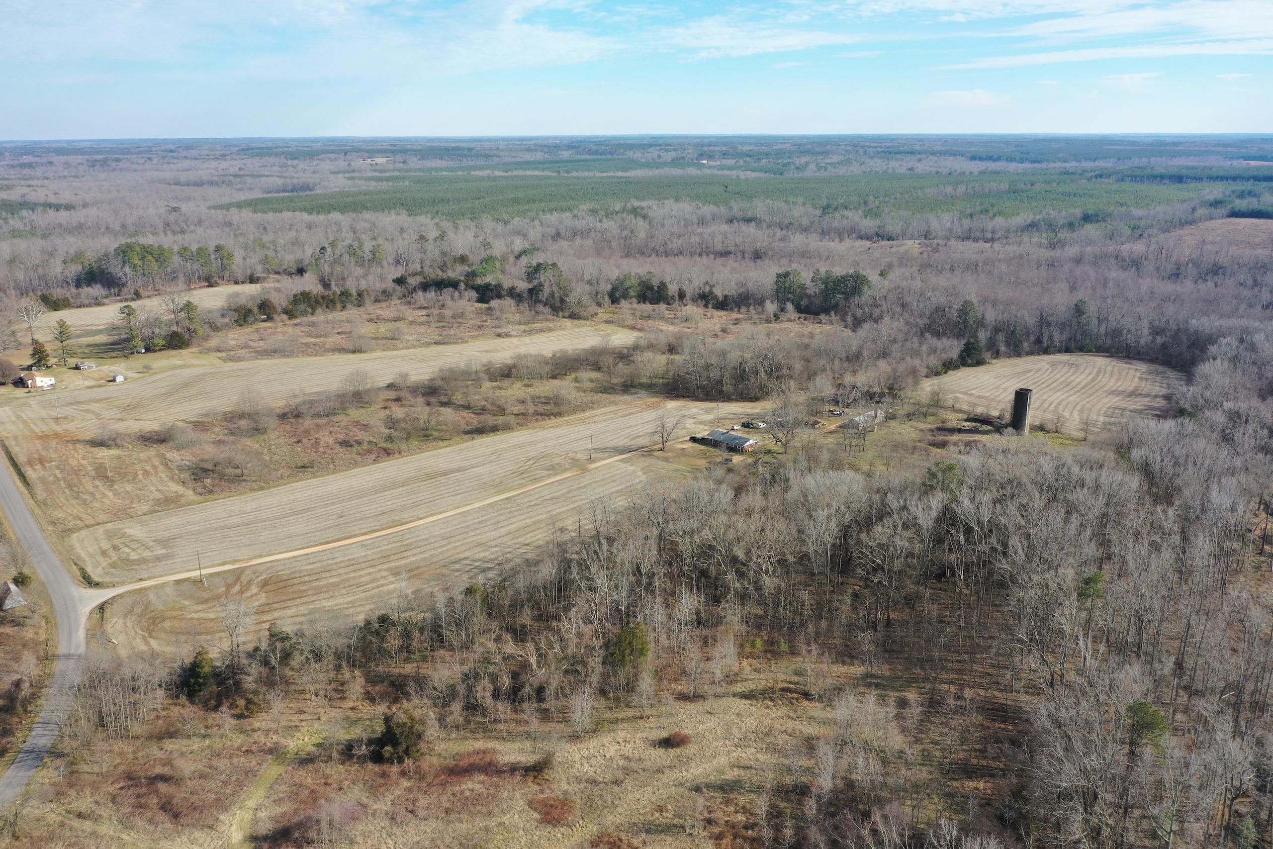 Wilsons, Dinwiddie County, VA Timberland Property, Hunting Property for