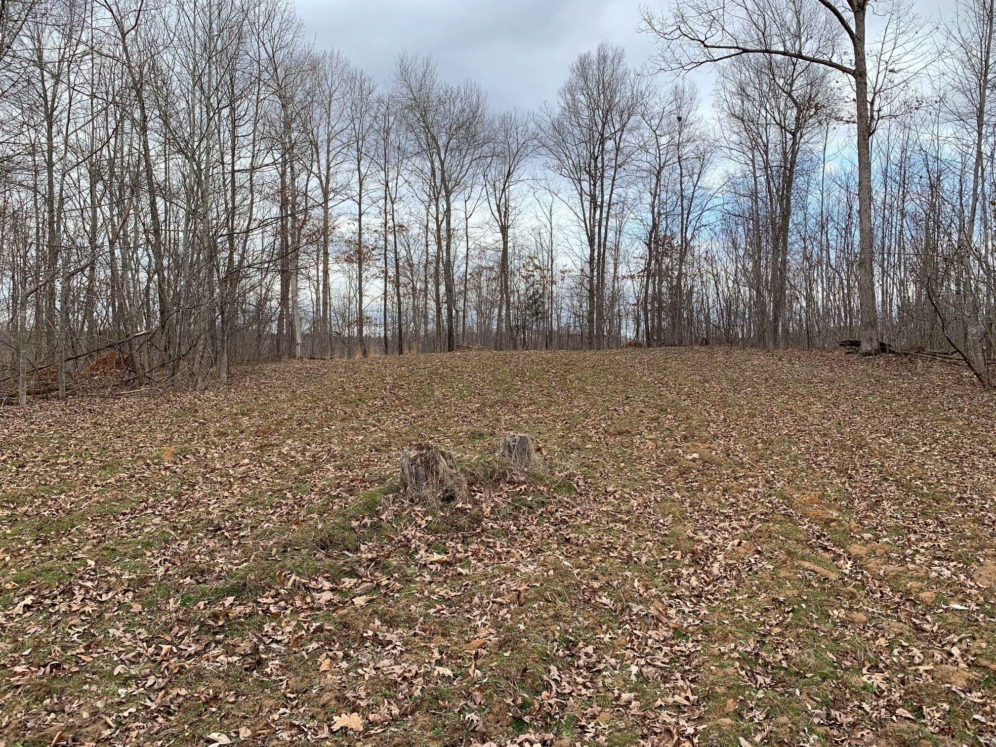 Indian Mound, Stewart County, TN Recreational Property, Timberland