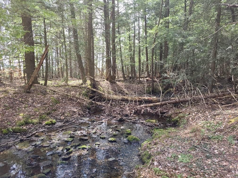 Oneida, Oneida County, NY Recreational Property, Hunting Property for