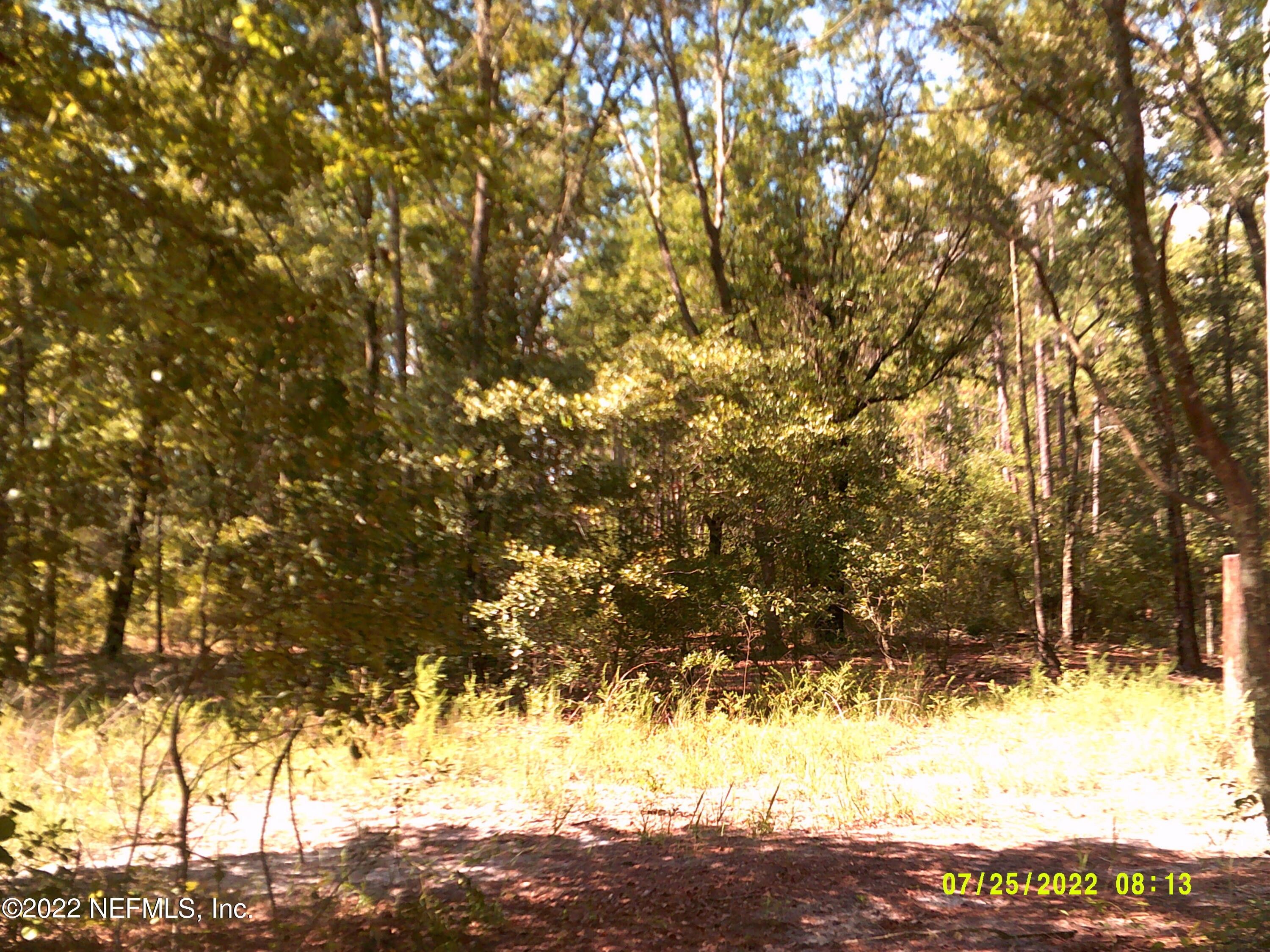Glen Saint Mary, Baker County, FL Undeveloped Land, Homesites for sale