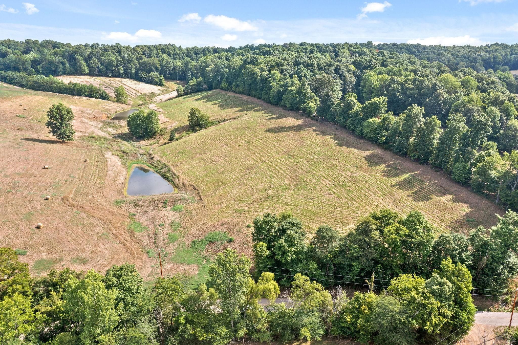 Palmyra, Montgomery County, TN Farms and Ranches for sale Property ID