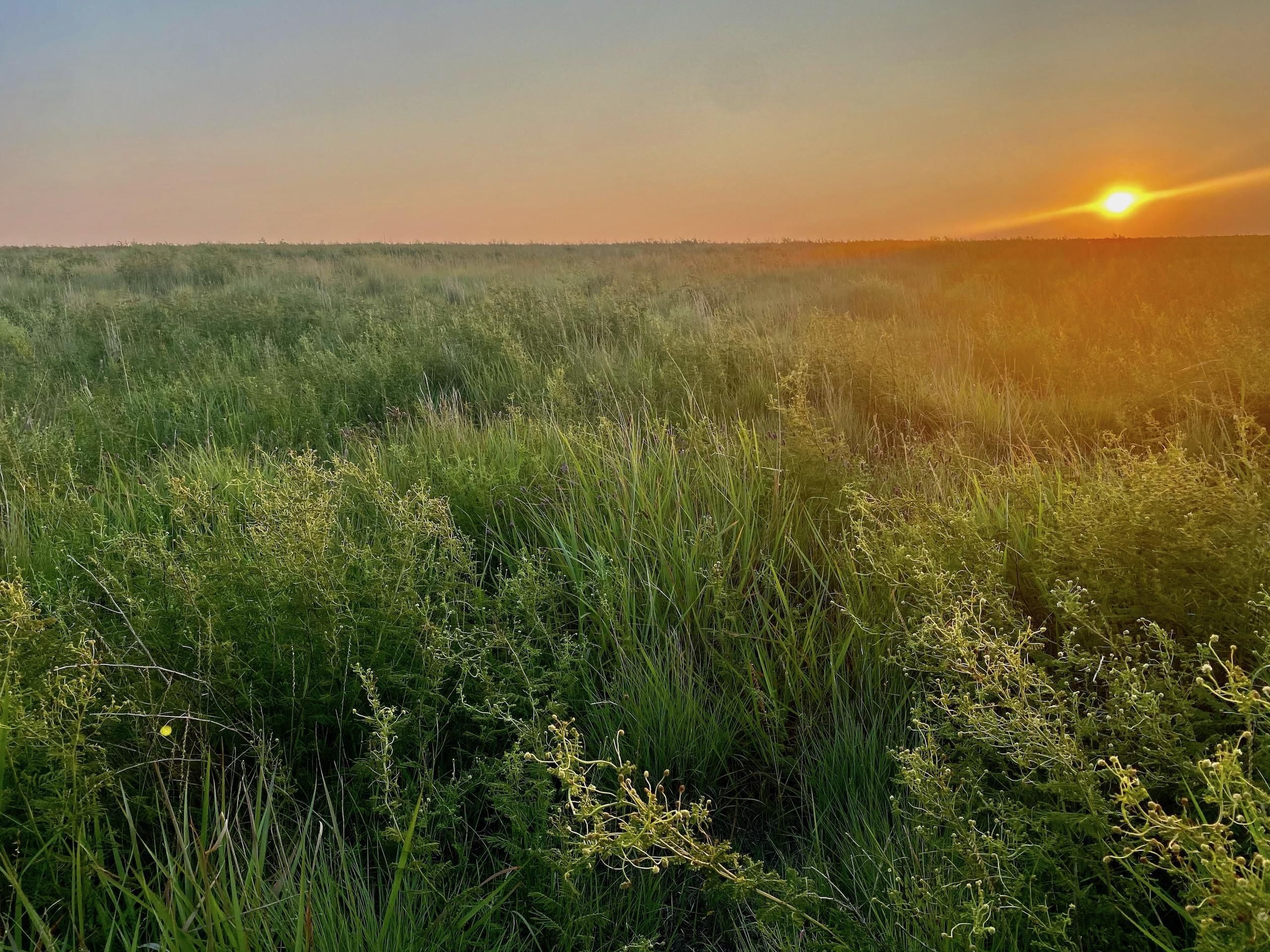 Winona, Logan County, KS Farms and Ranches, Hunting Property for sale