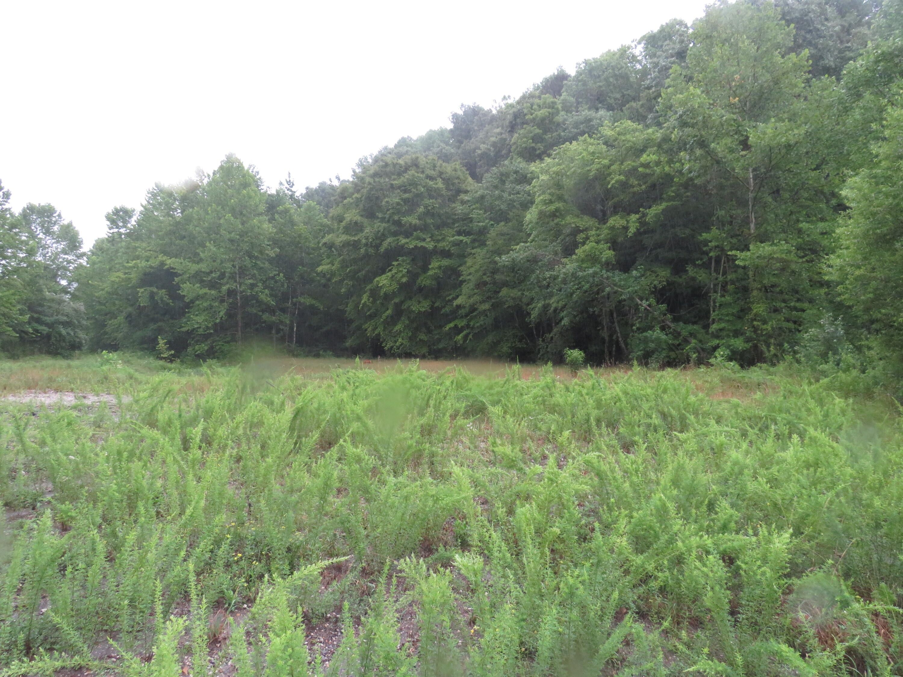 Barbourville, Knox County, KY Farms and Ranches for sale Property ID