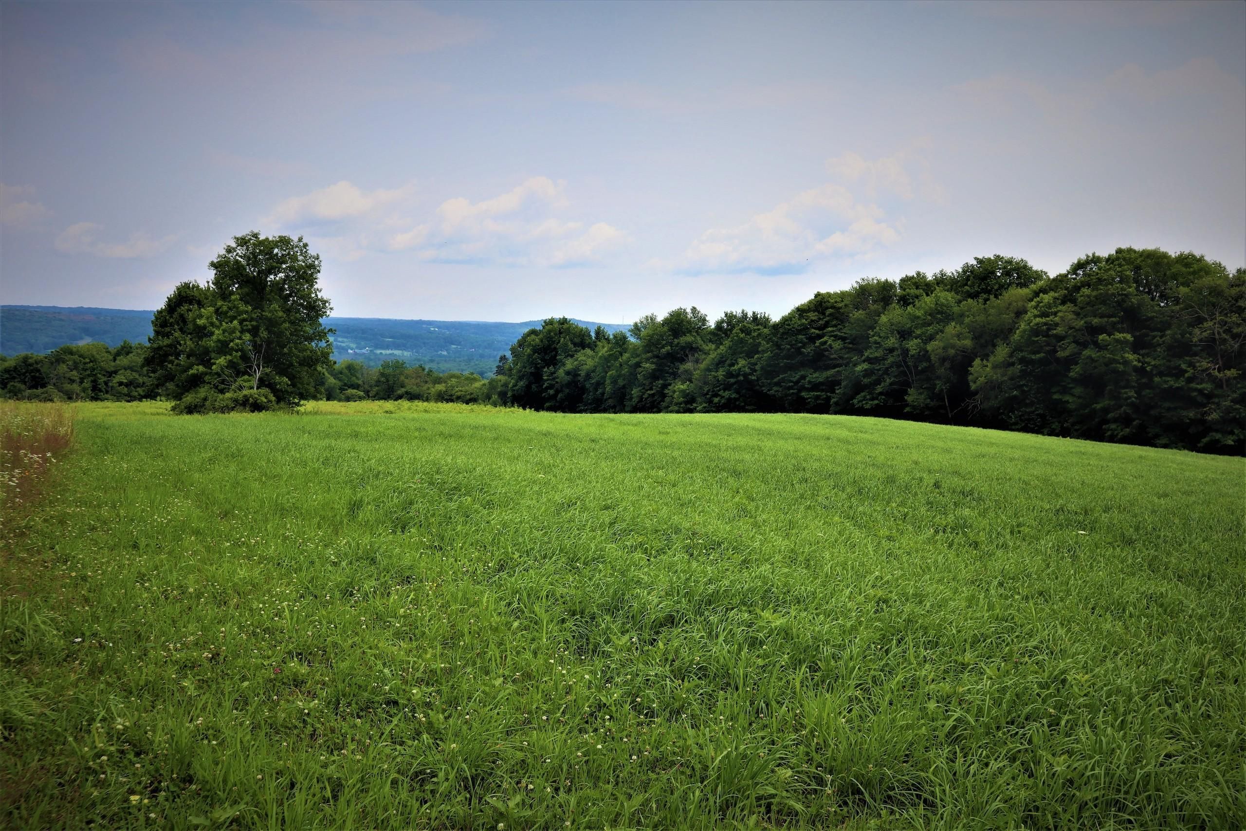 Sinclairville, Chautauqua County, NY Recreational Property, Timberland Property, Hunting