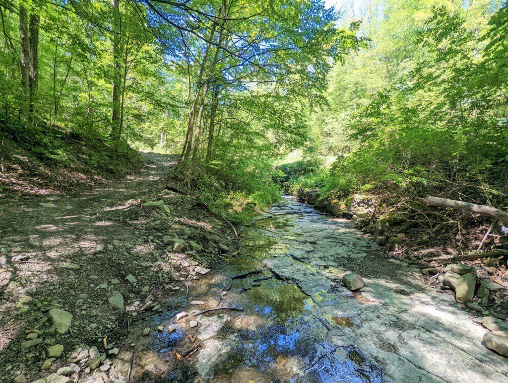 Corning, Steuben County, NY Recreational Property, Timberland Property, Hunting Property for