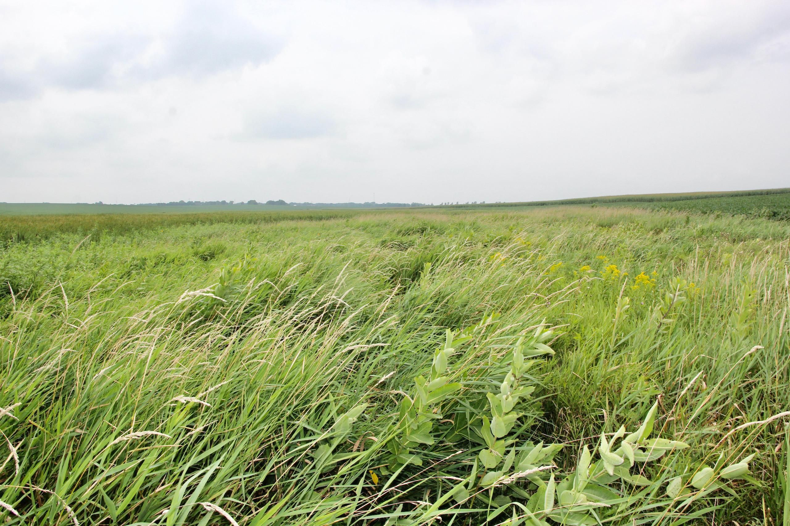 Fulda, Murray County, MN Recreational Property, Hunting Property for