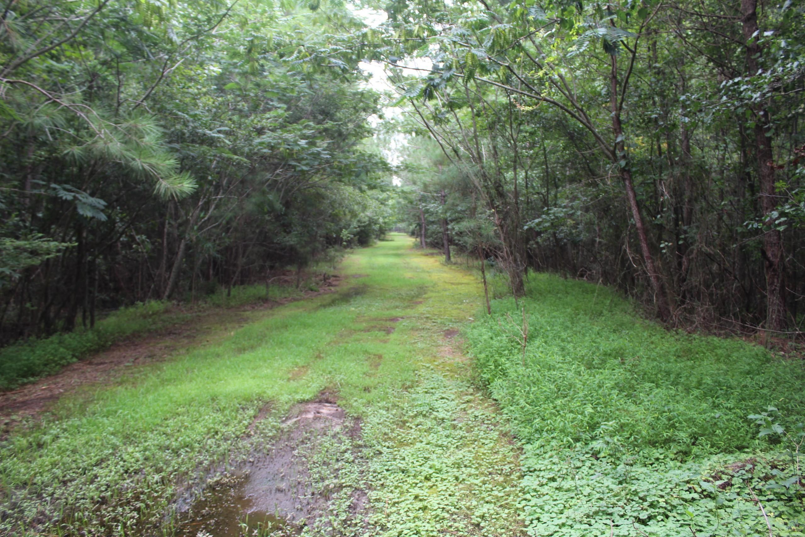 Off of London Church Rd, Lot WP0001, Elm City, NC 27822 LandWatch