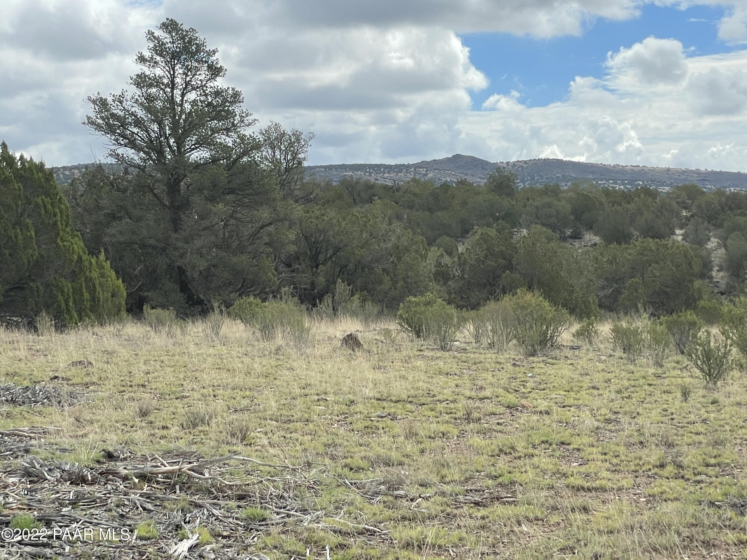 Seligman, Yavapai County, AZ Farms and Ranches for sale Property ID