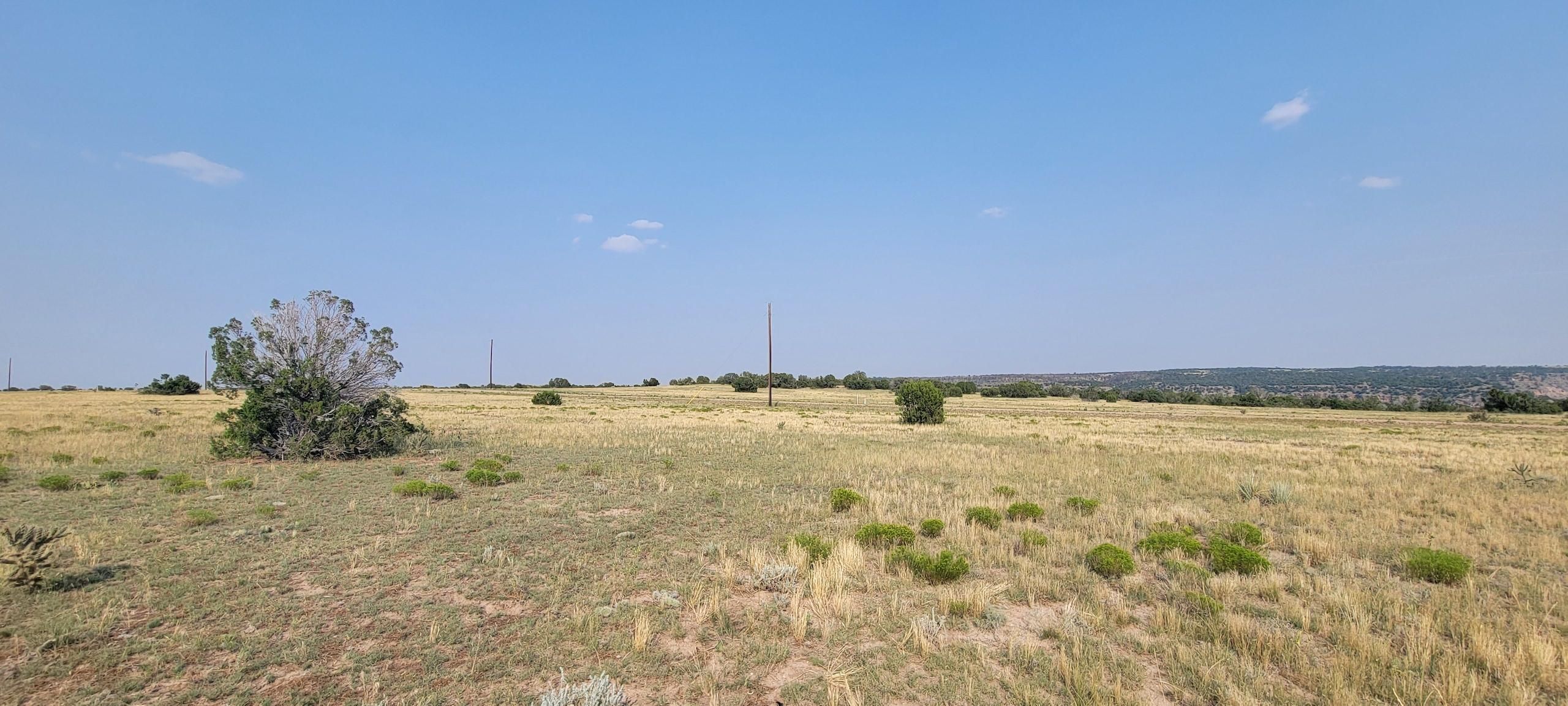 Walsenburg, Huerfano County, CO Recreational Property, Hunting Property for sale Property ID