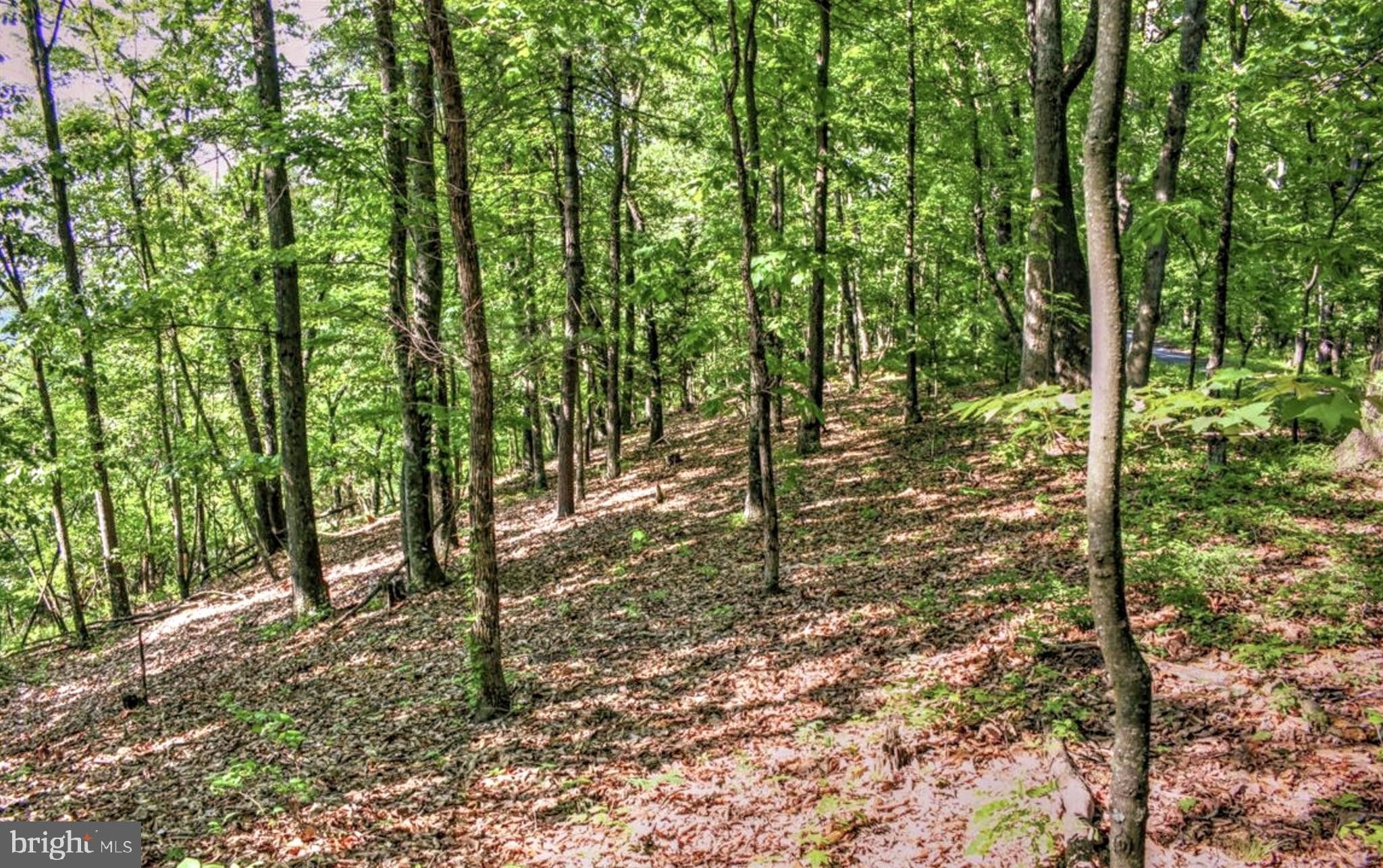 Mount Jackson, Shenandoah County, VA Undeveloped Land for sale Property