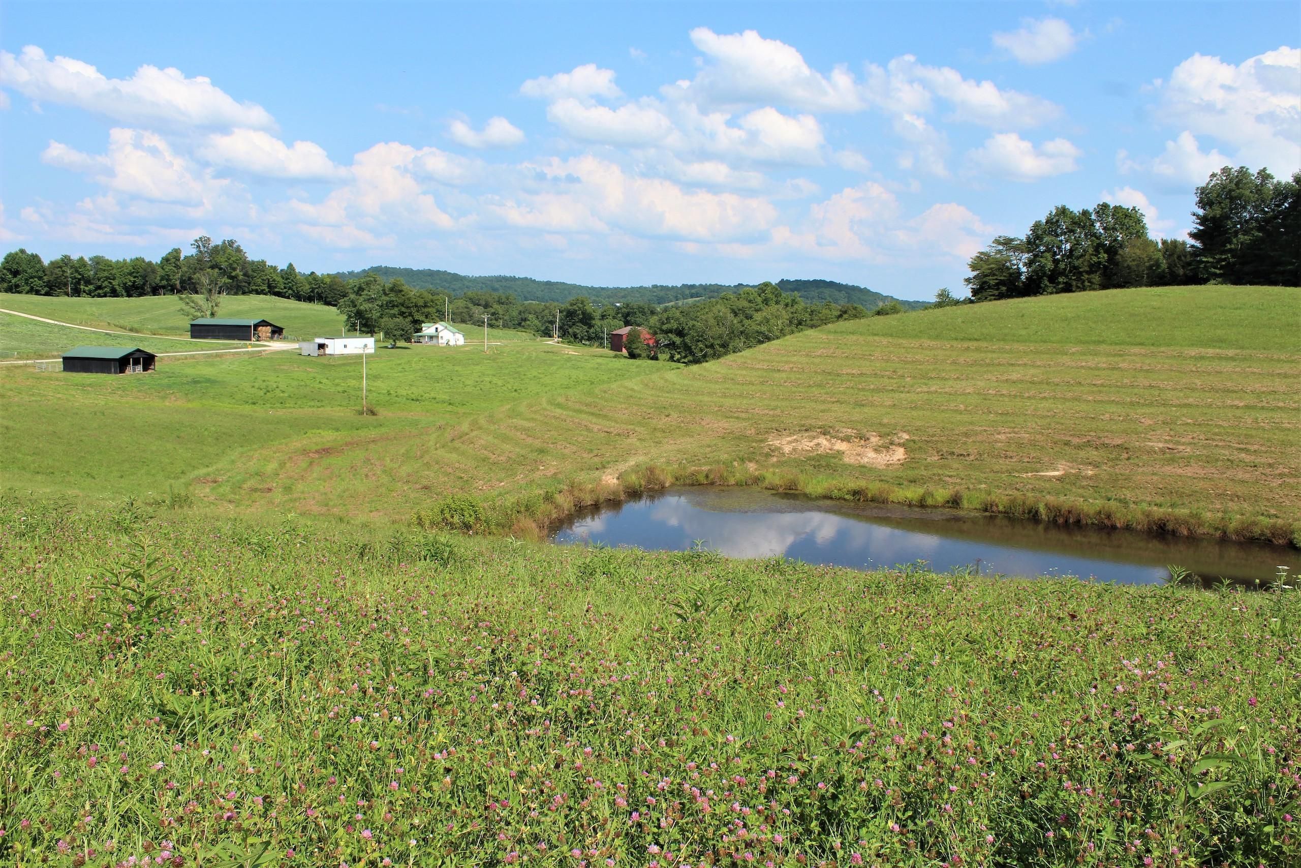 6700 Highway 772, West Liberty, KY 41472 LandWatch