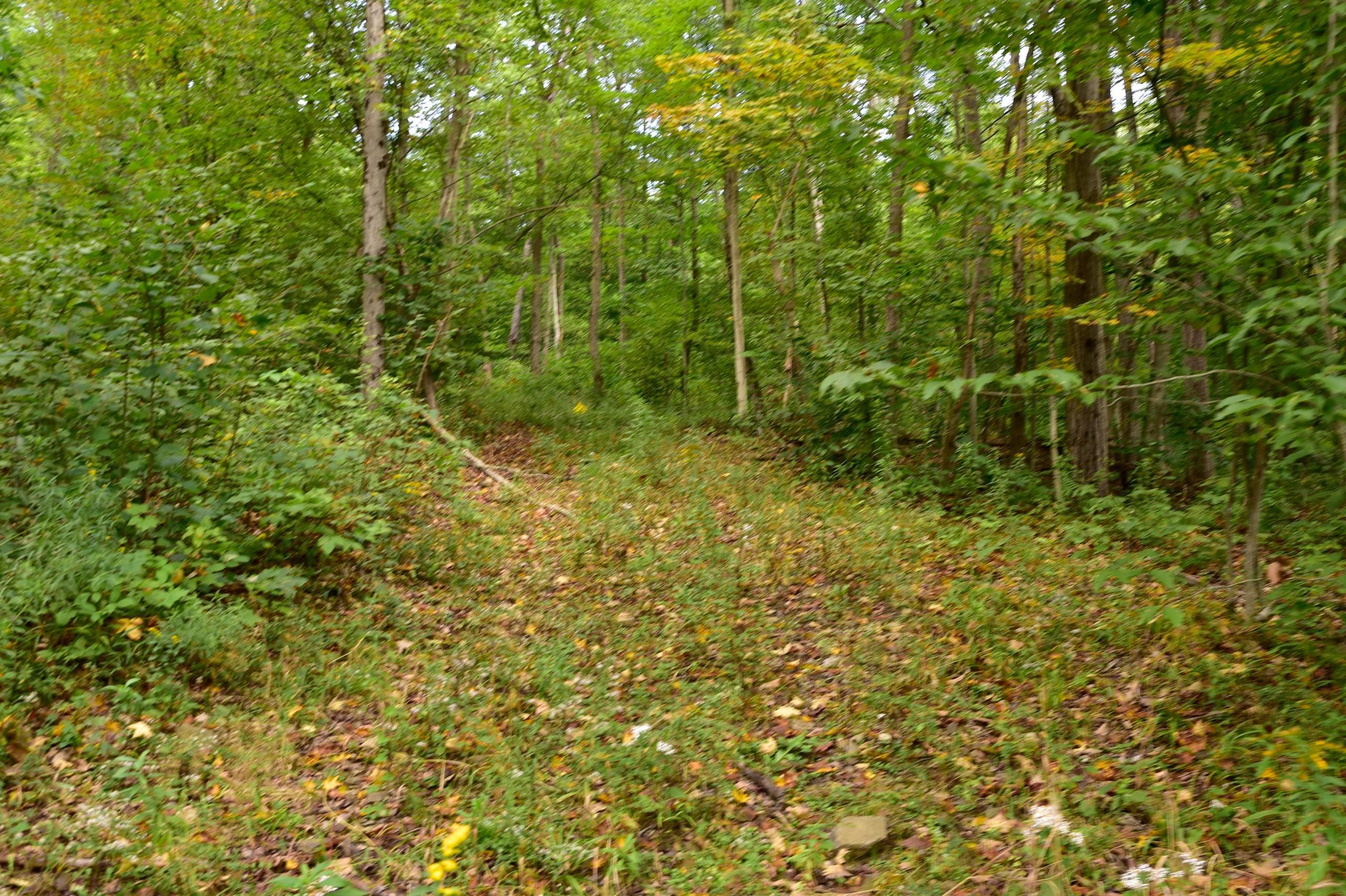 Cayuta, Schuyler County, NY Farms and Ranches, Hunting Property for