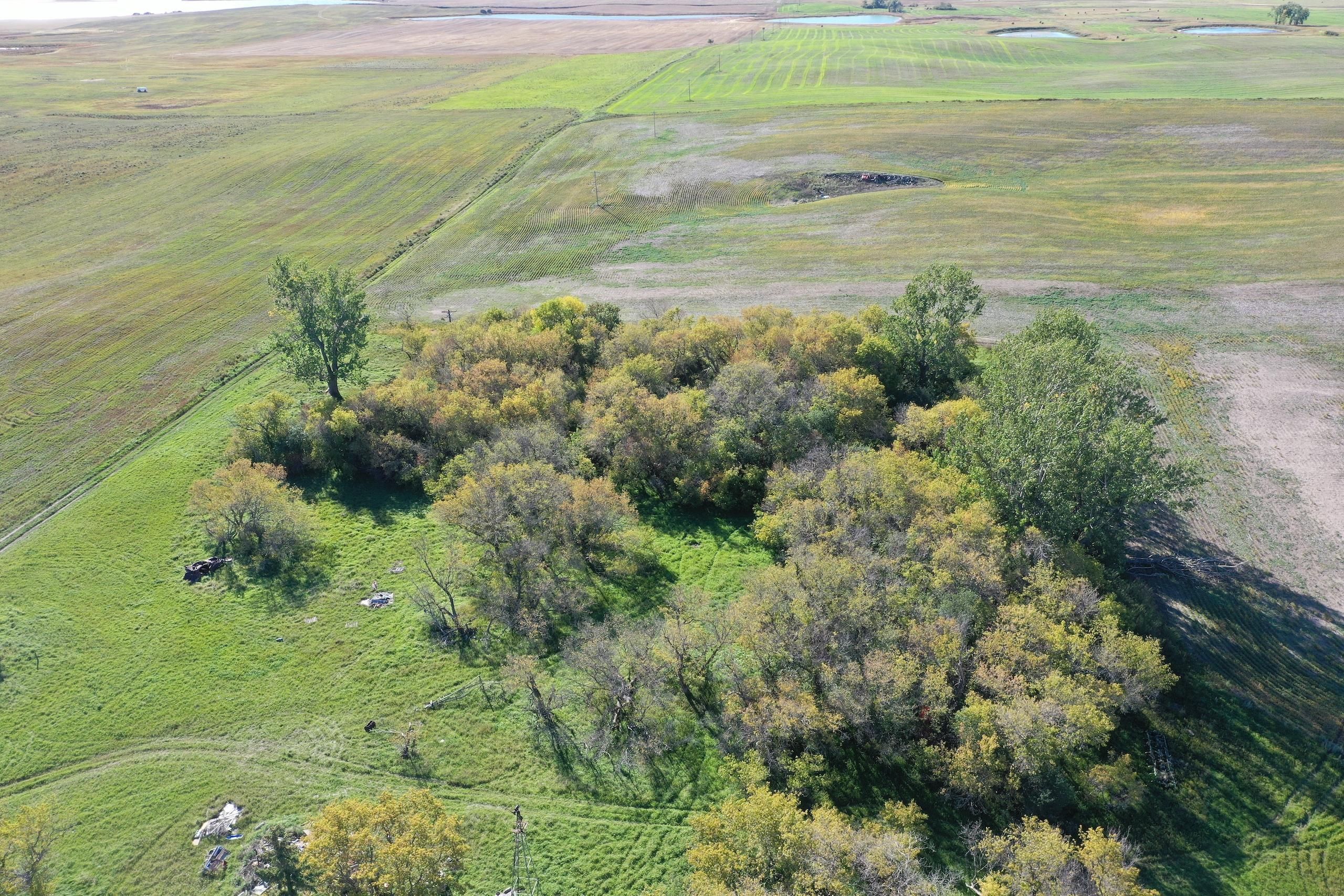 3603 67th St NE, LotWP001, Rugby, ND 58368 LandWatch