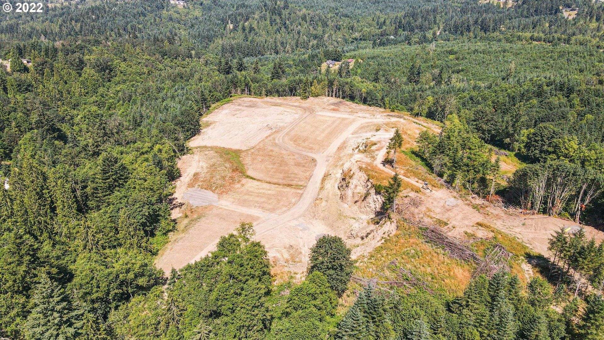 Kelso, Cowlitz County, WA Undeveloped Land, Lakefront Property