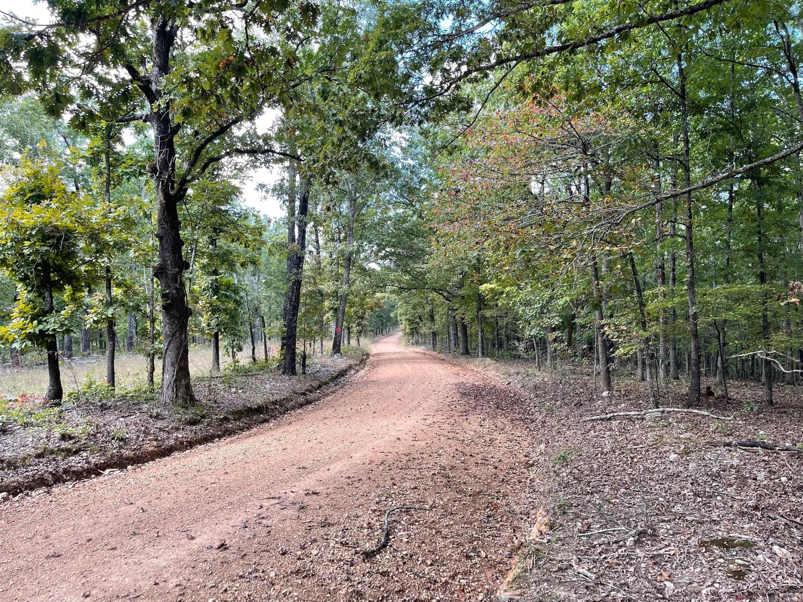 River Road Lot WP001, Ash Flat, AR 72513 LandWatch