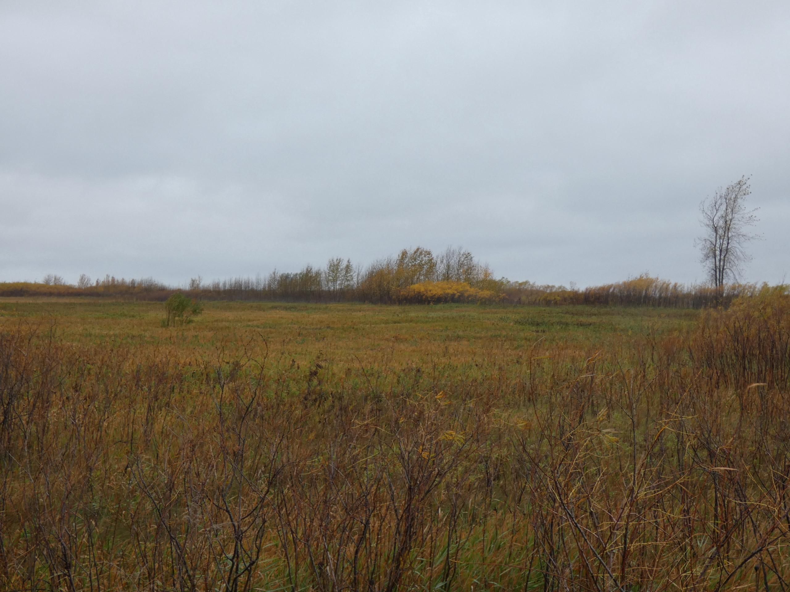 230th Street NE, LotWP001, Goodridge, MN 56725 LandWatch