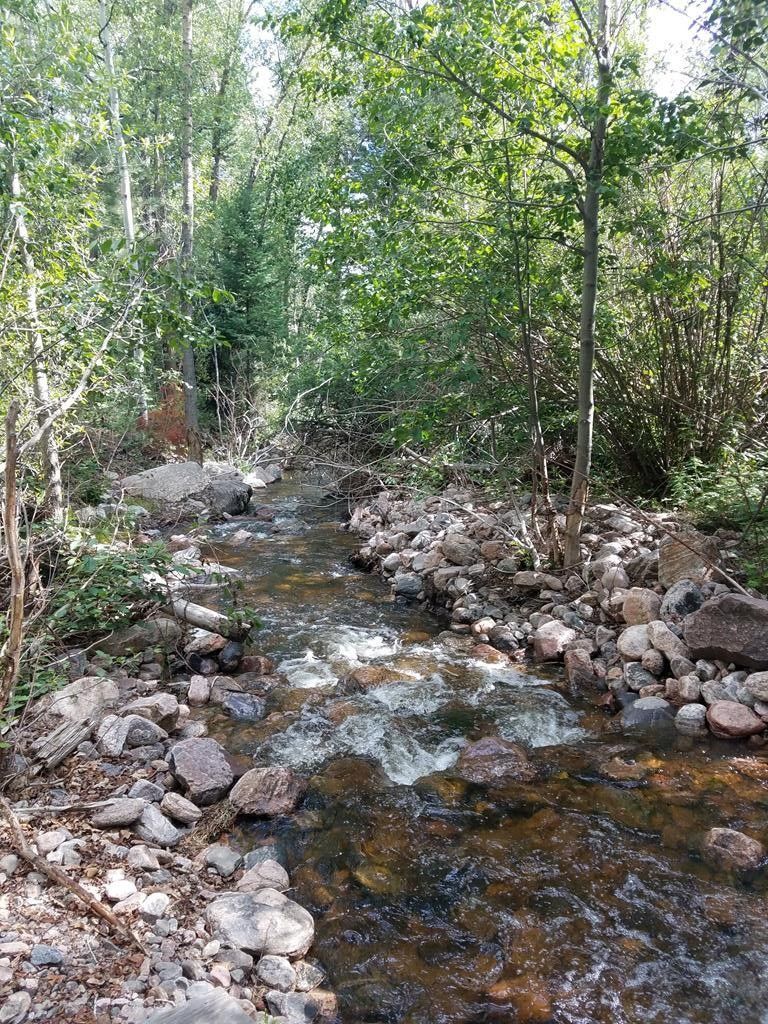 Gardner, Huerfano County, CO House for sale Property ID 414439726