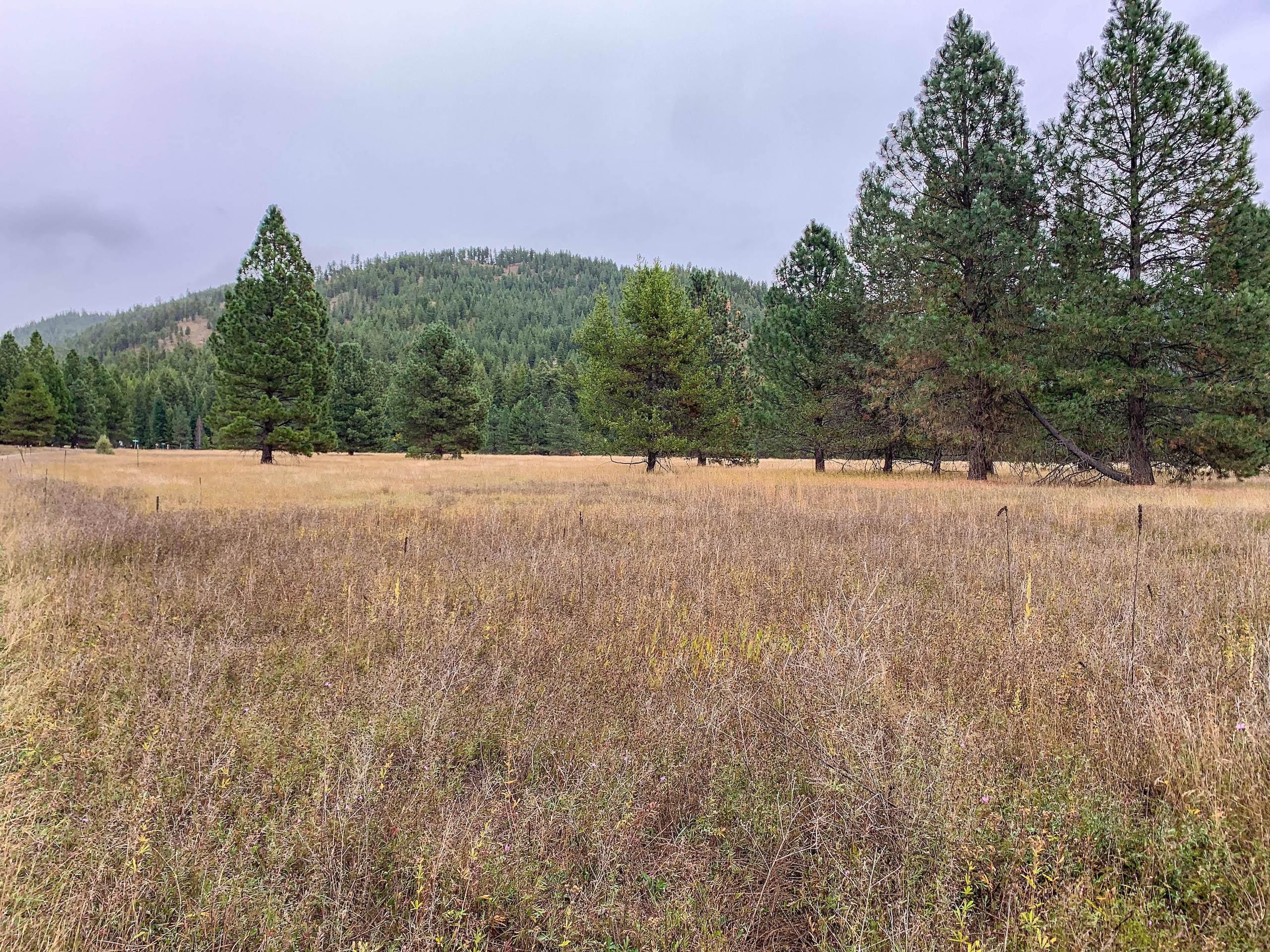 Saint Regis, Mineral County, MT Farms and Ranches, Recreational