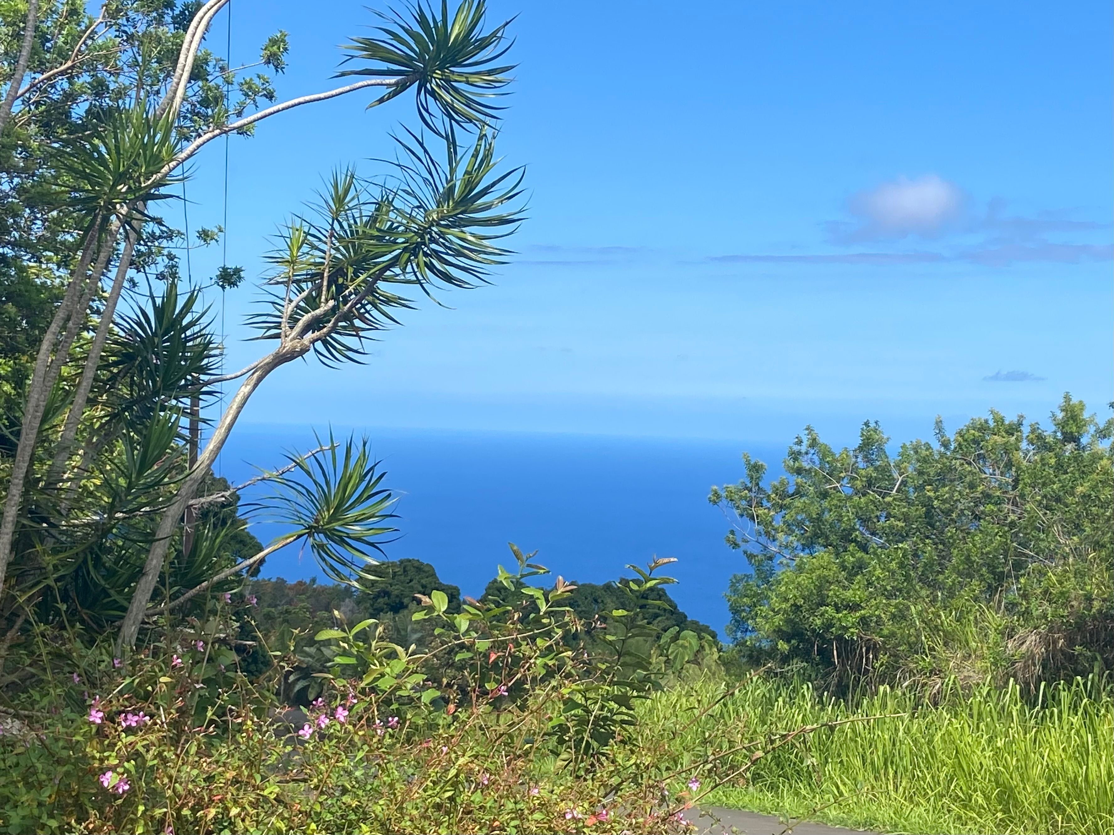 Kealakekua, Kauai County, HI Homesites for sale Property ID 414440216
