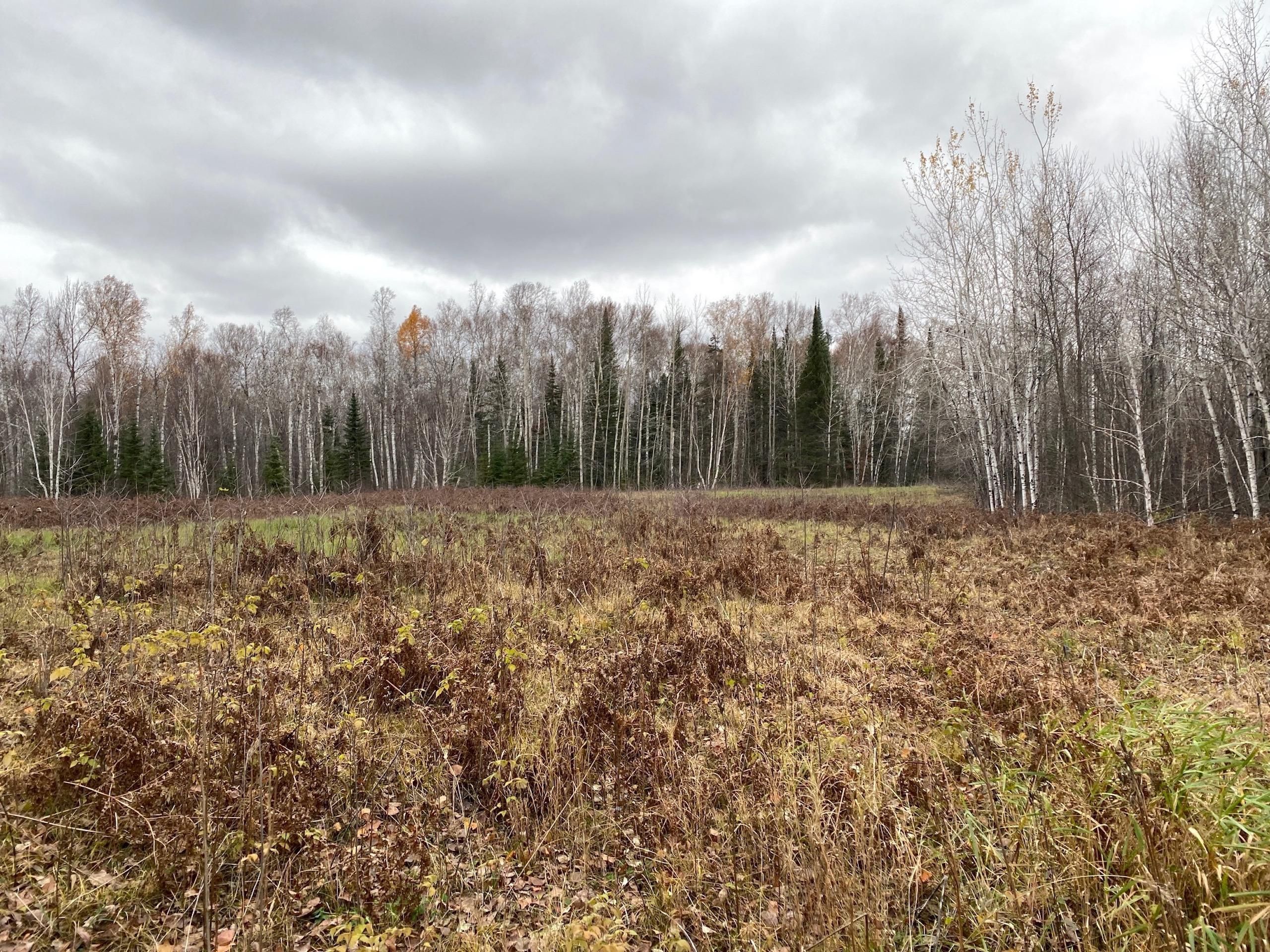 Deer River, Cass County, MN Recreational Property, Hunting Property for