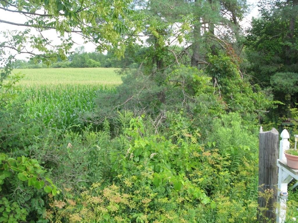 Amsterdam, Montgomery County, NY Undeveloped Land for sale Property ID