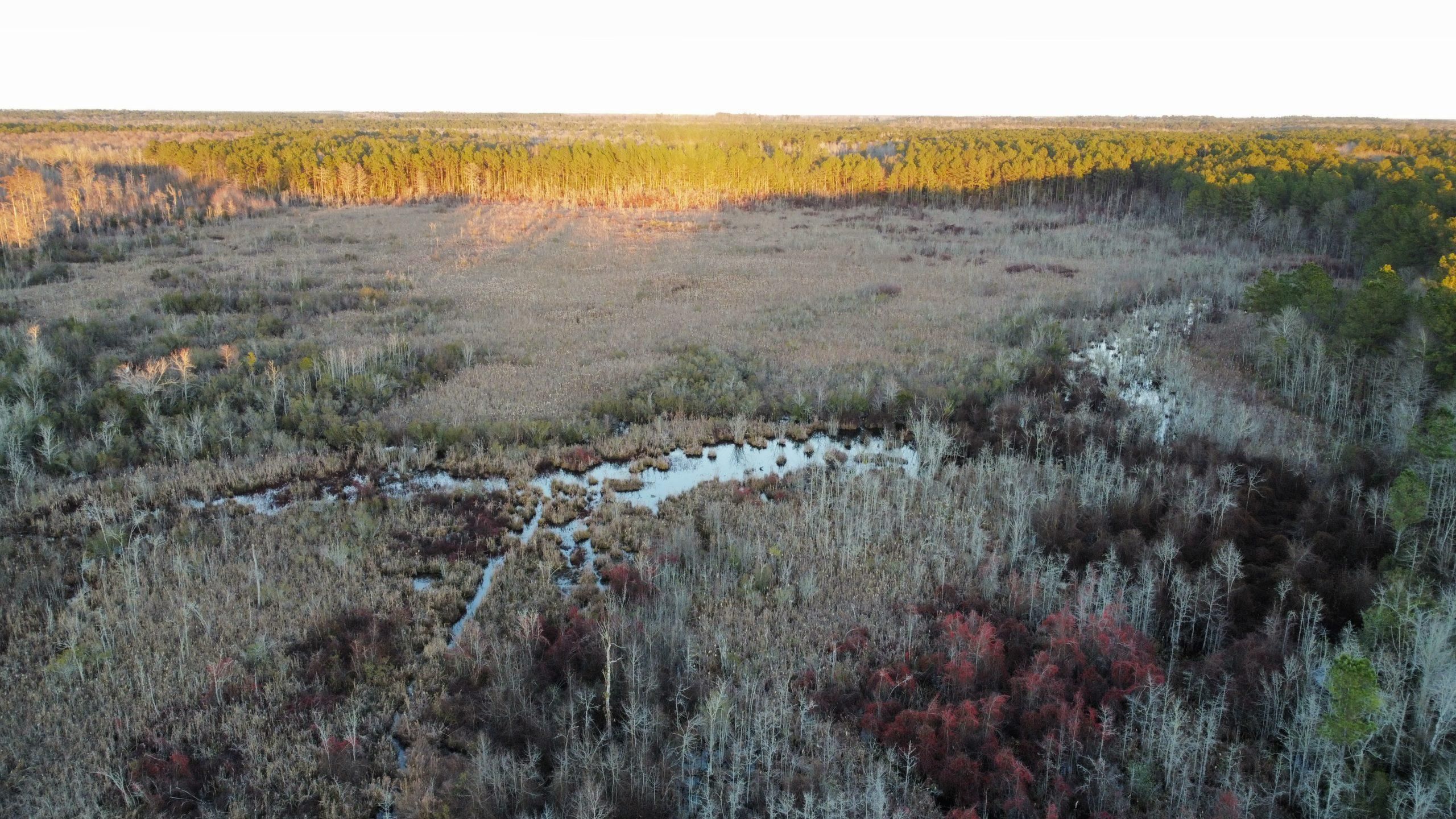 Sylvania, Screven County, GA Recreational Property, Timberland Property