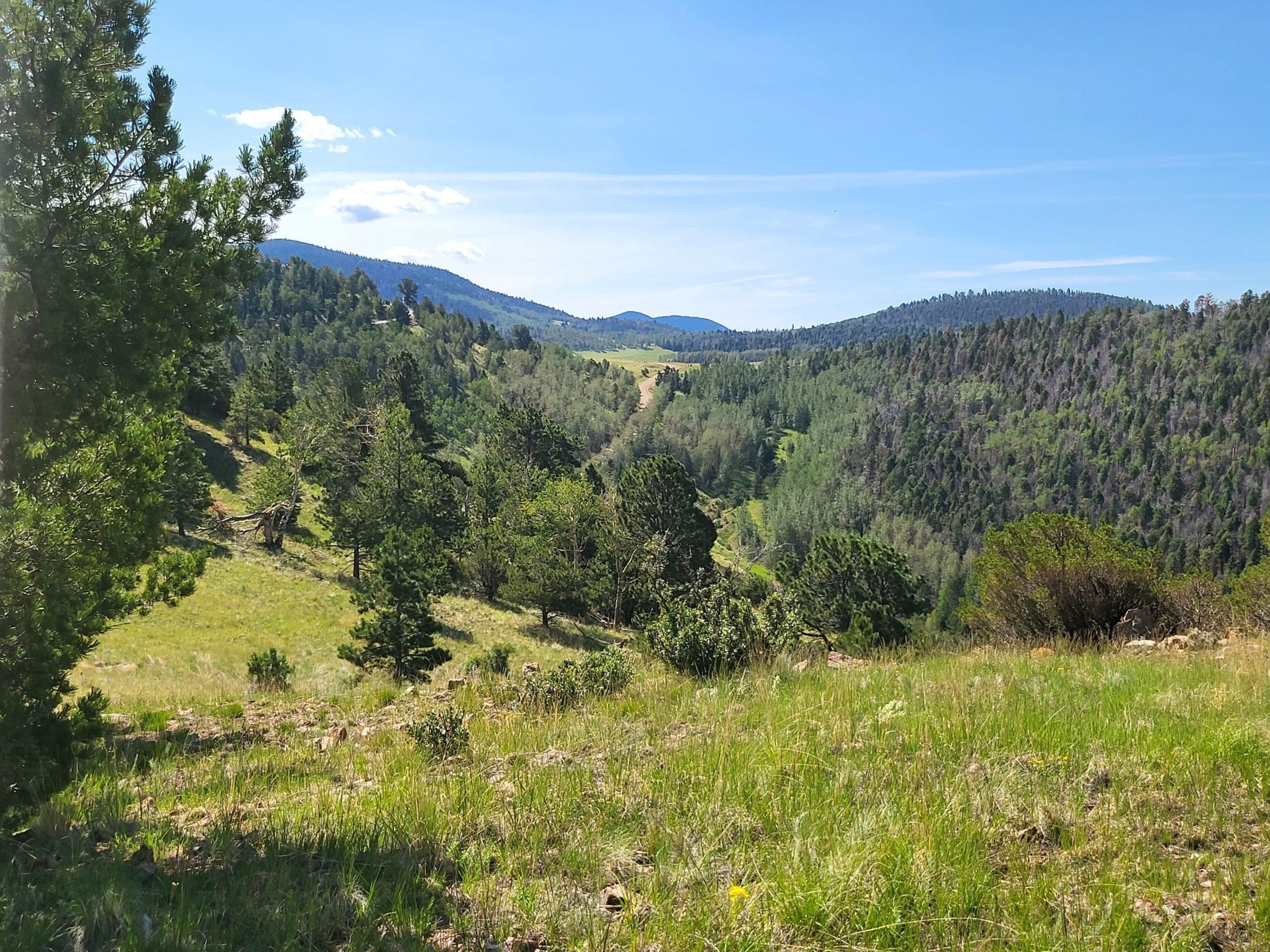Westcliffe, Custer County, CO for sale Property ID 414114023 LandWatch