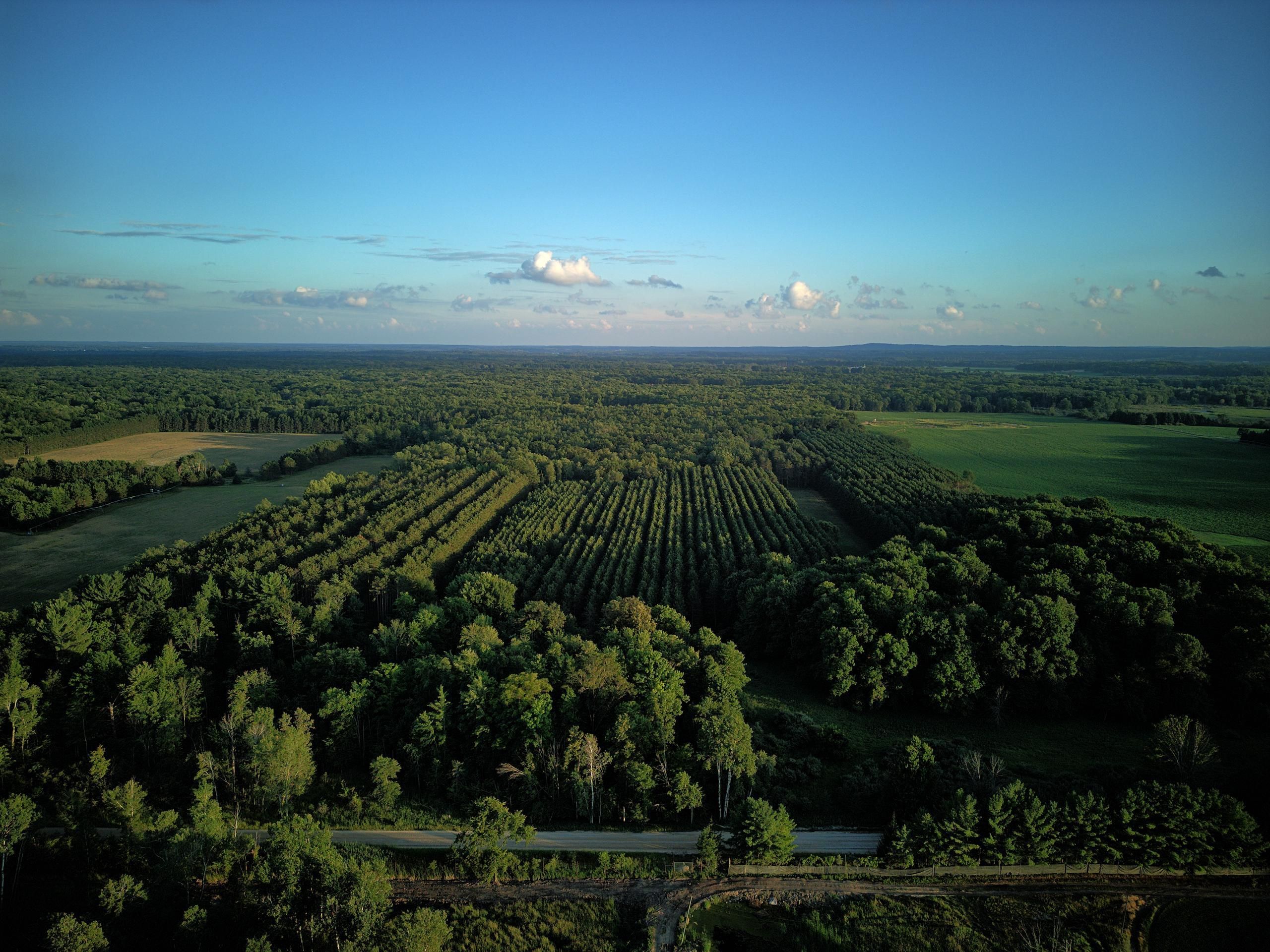 Lake, Isabella County, MI Recreational Property, Hunting Property for sale Property ID