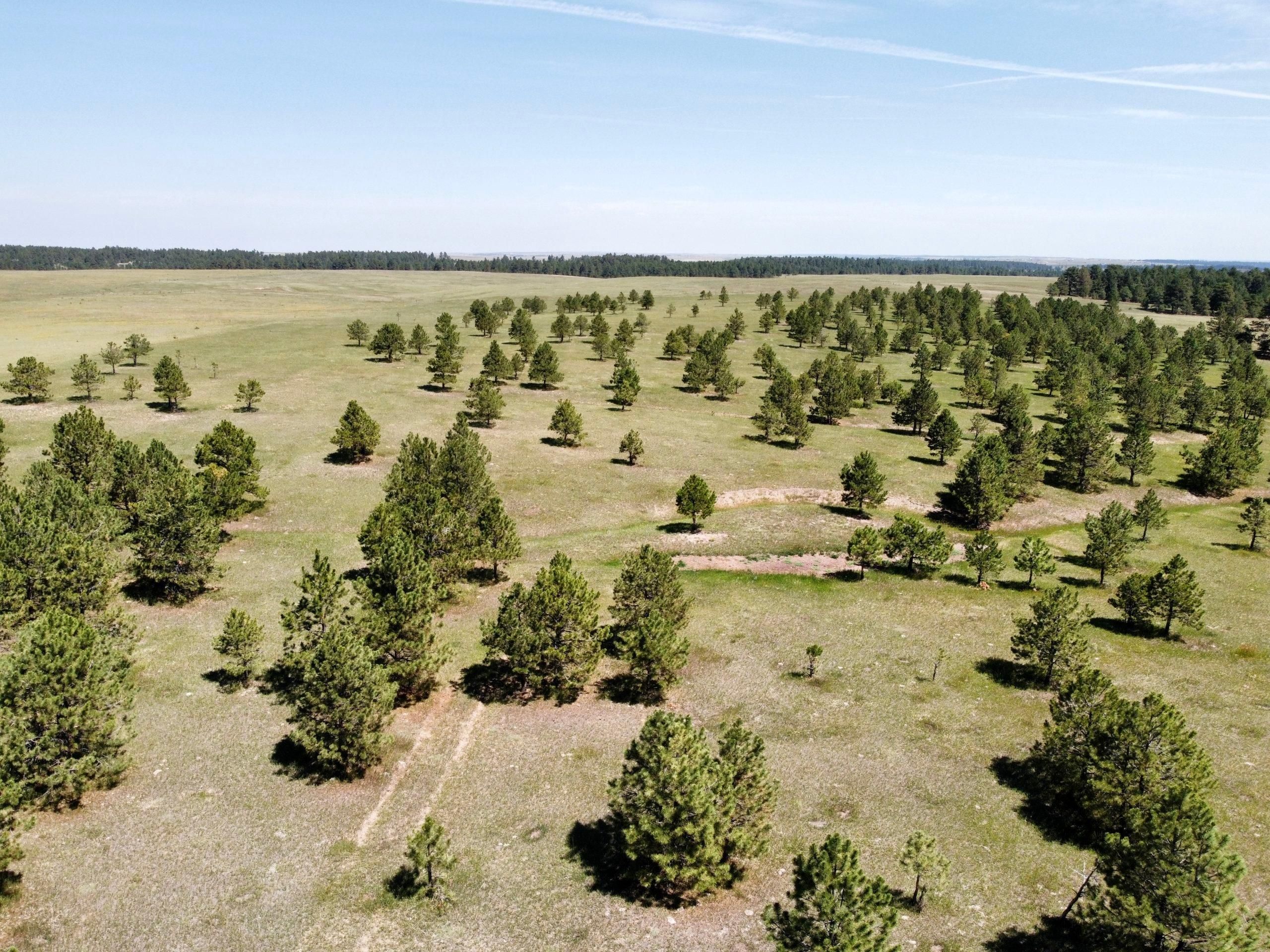 Colorado Springs, El Paso County, CO Undeveloped Land, Horse Property for sale Property ID