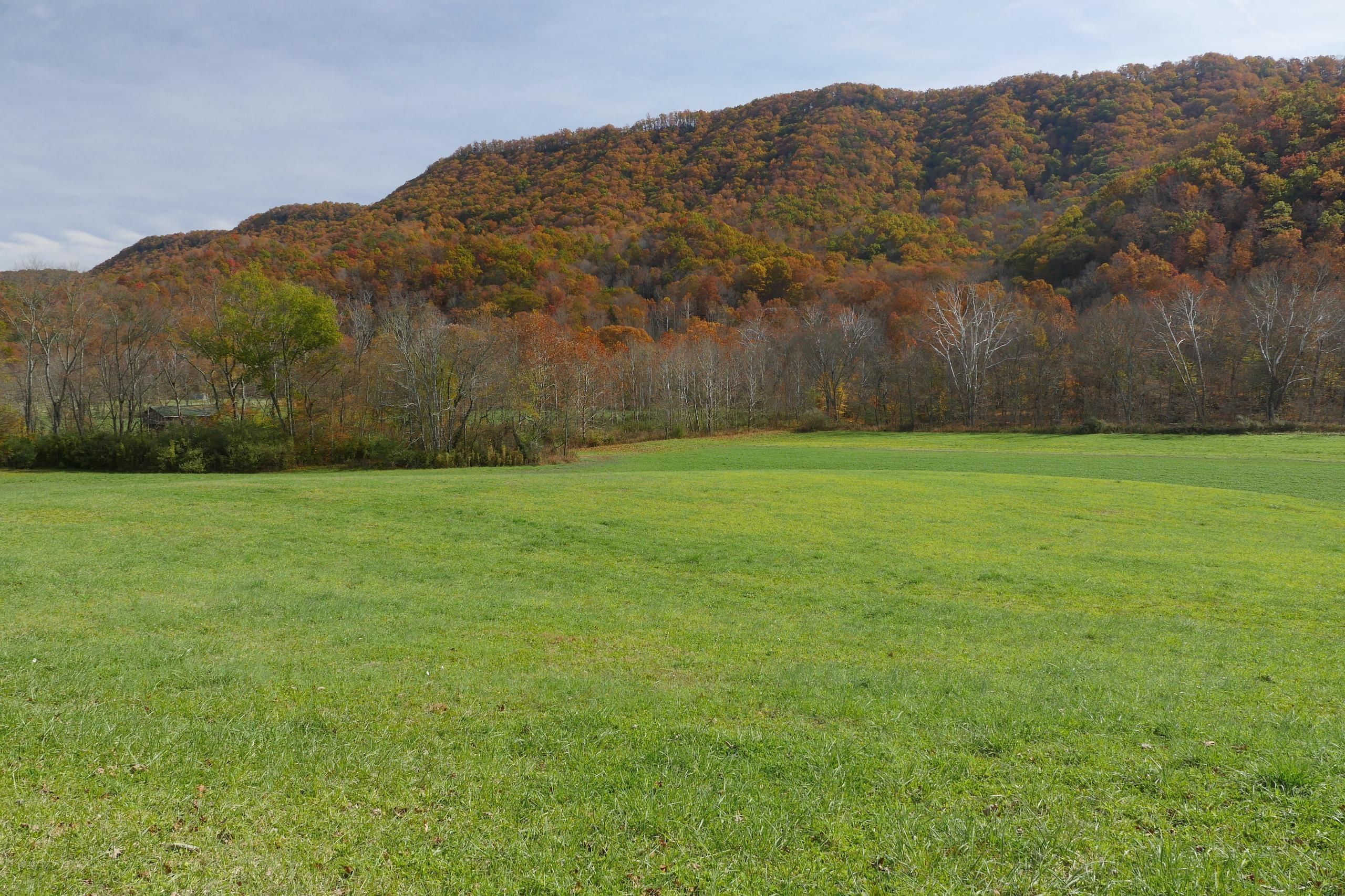 Saltville, Washington County, VA Recreational Property, Hunting