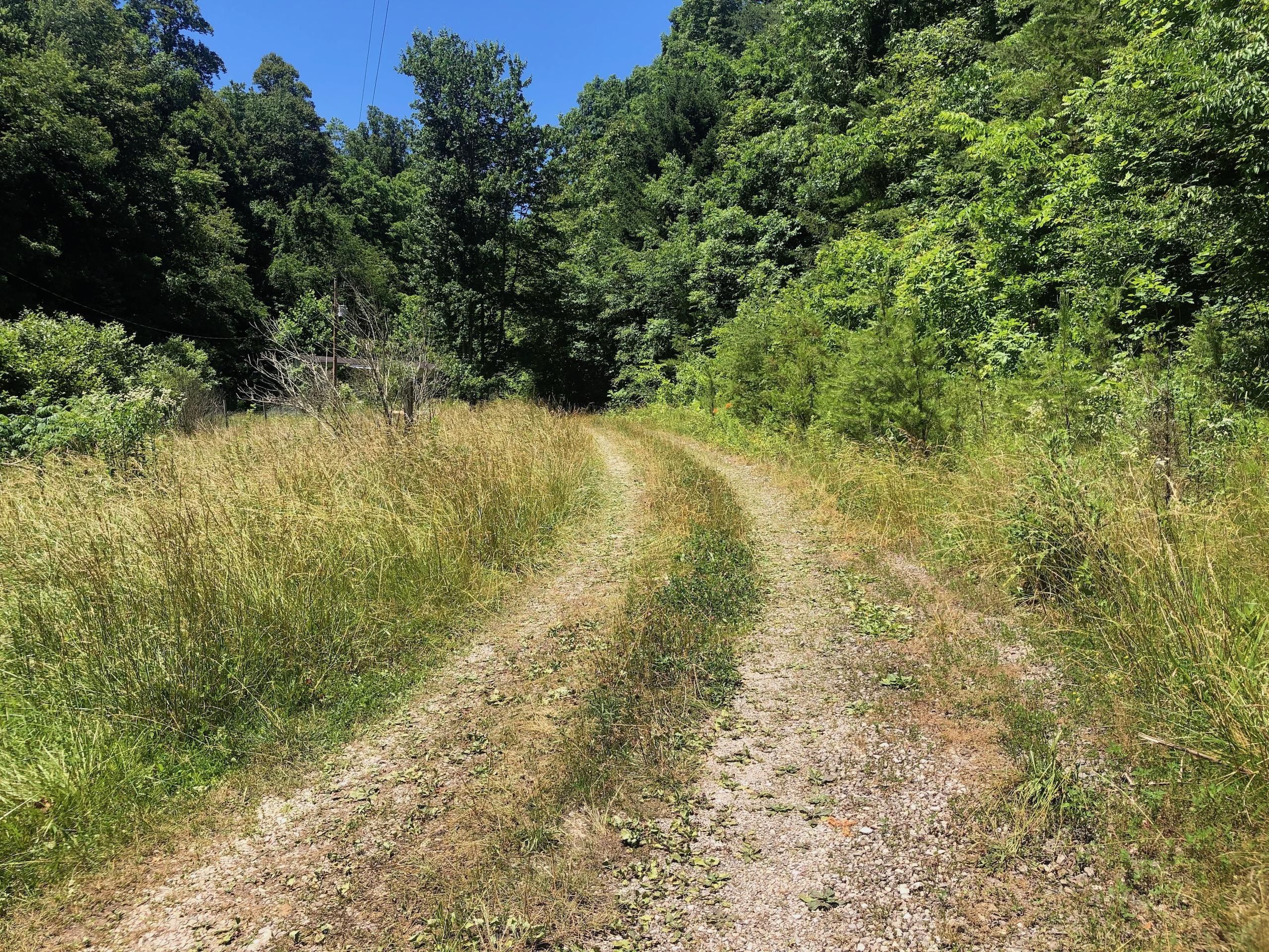 Ray, Jackson County, OH Recreational Property, Timberland Property