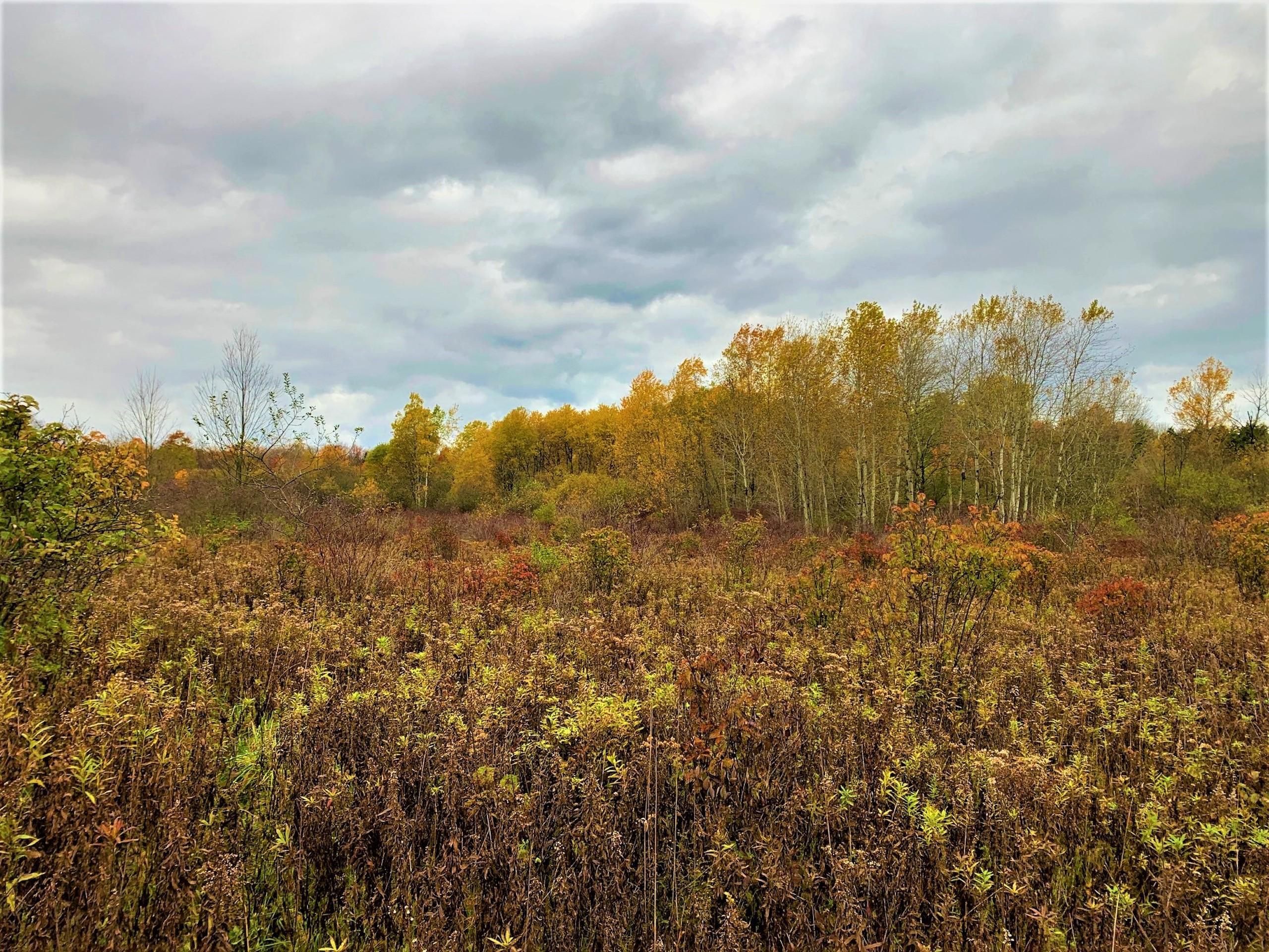 Mayville, Chautauqua County, NY Farms and Ranches, Recreational